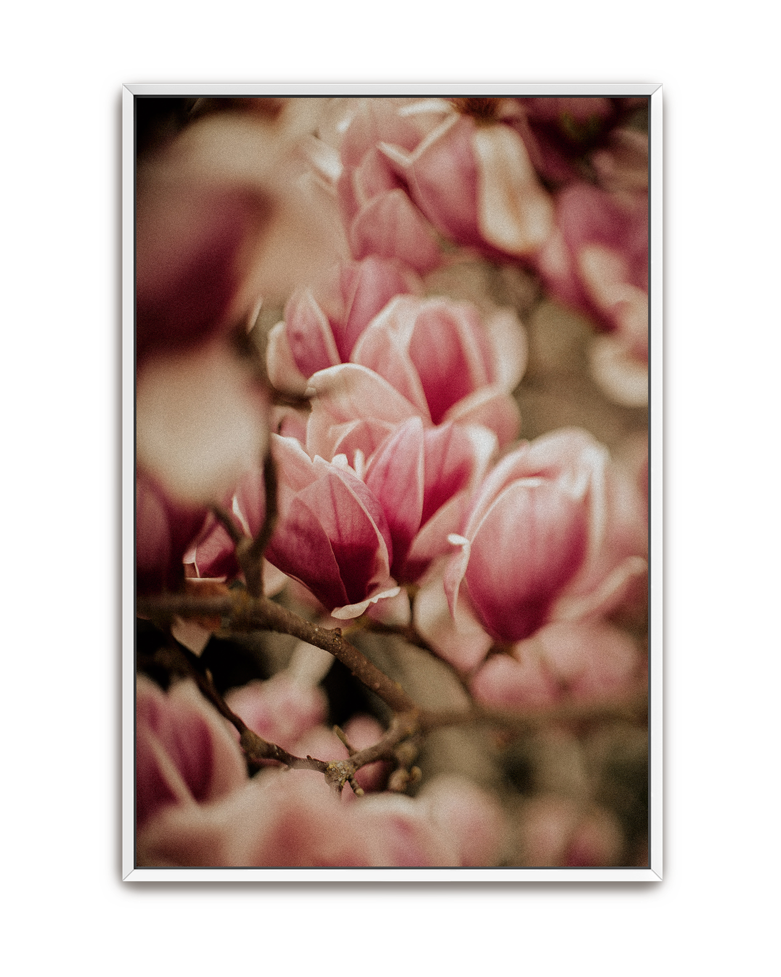 spring-peeks-in-white-canvas.png