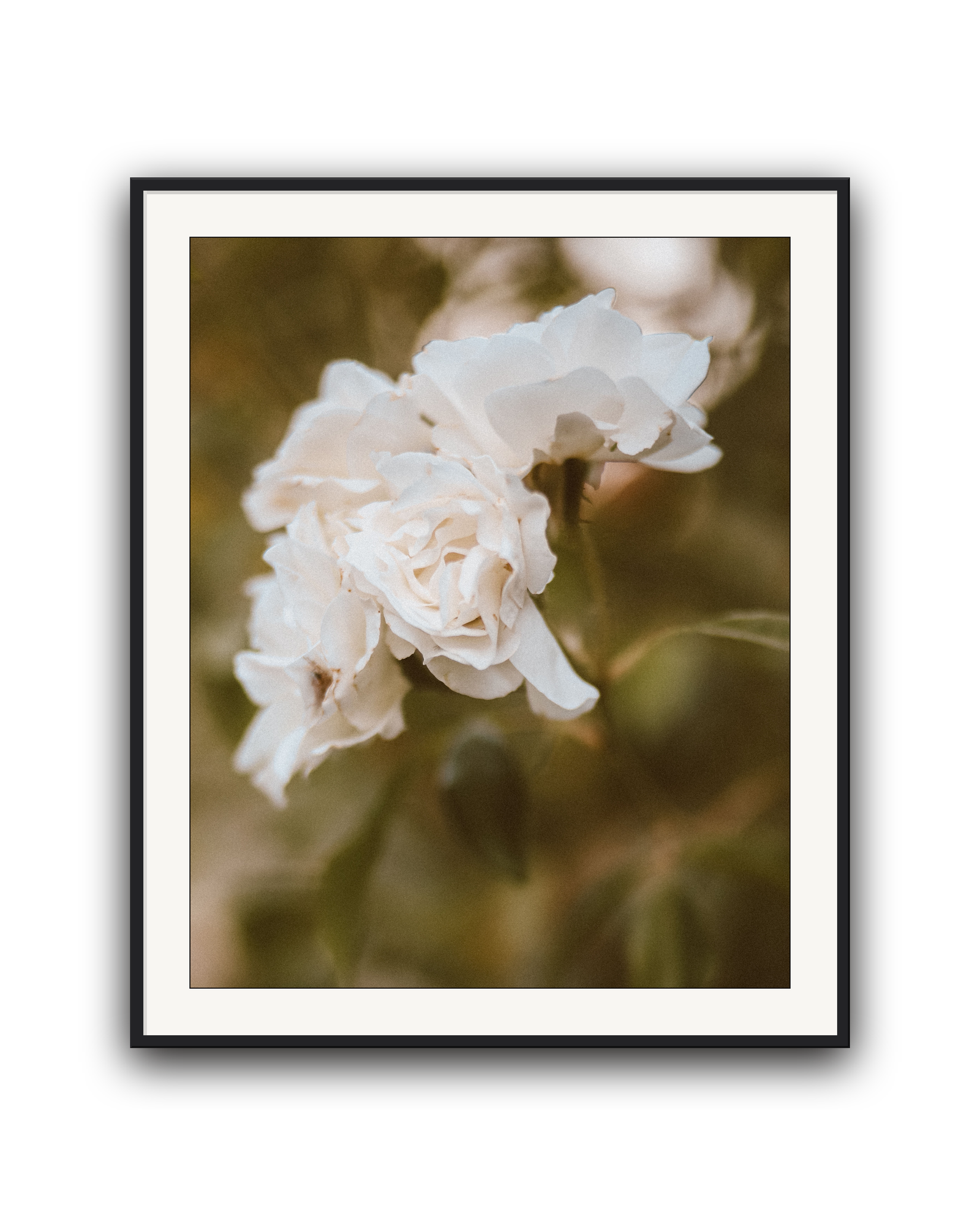 garden-whisper-black-matted.png
