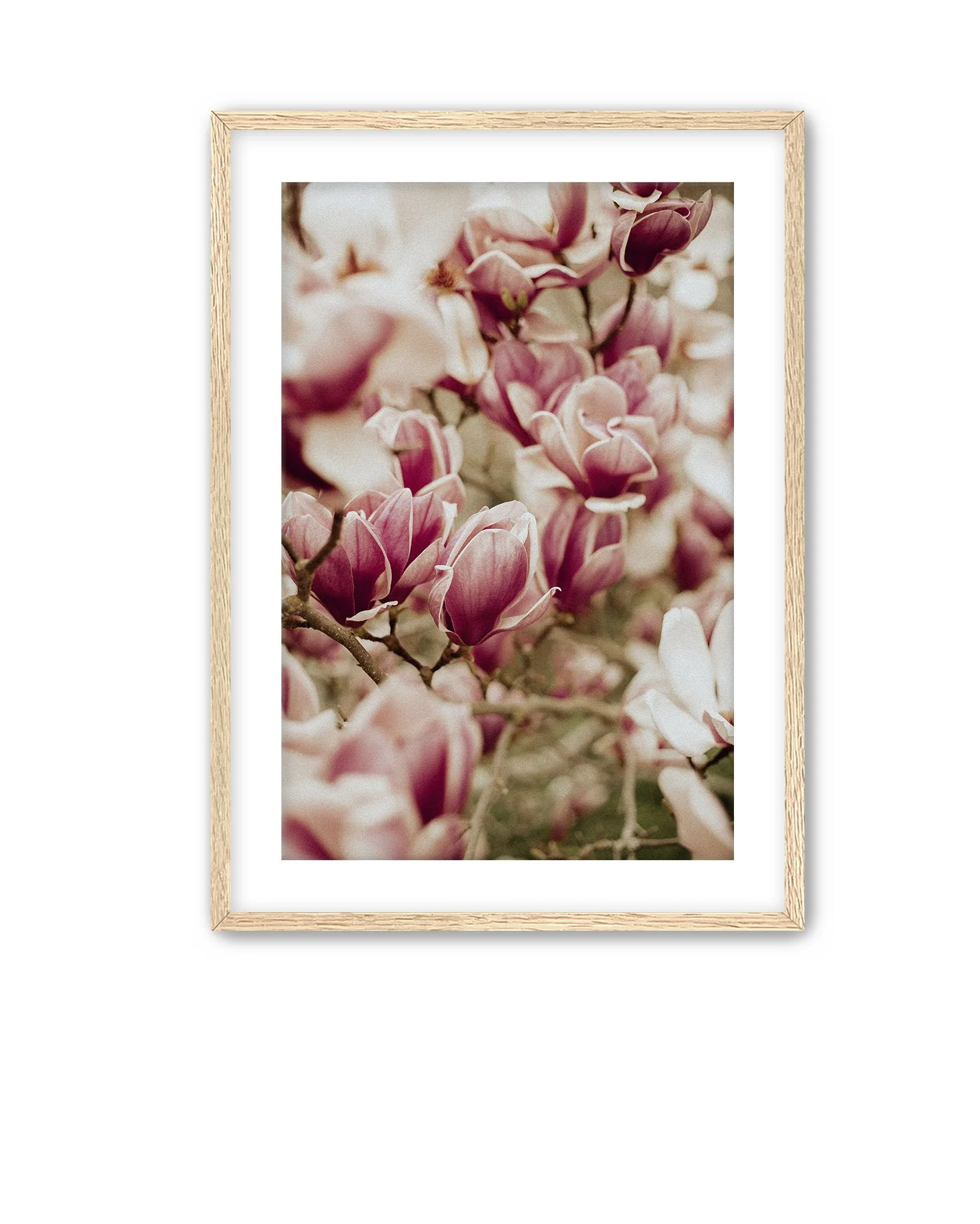 Oak Frame Magnolia 9.jpg