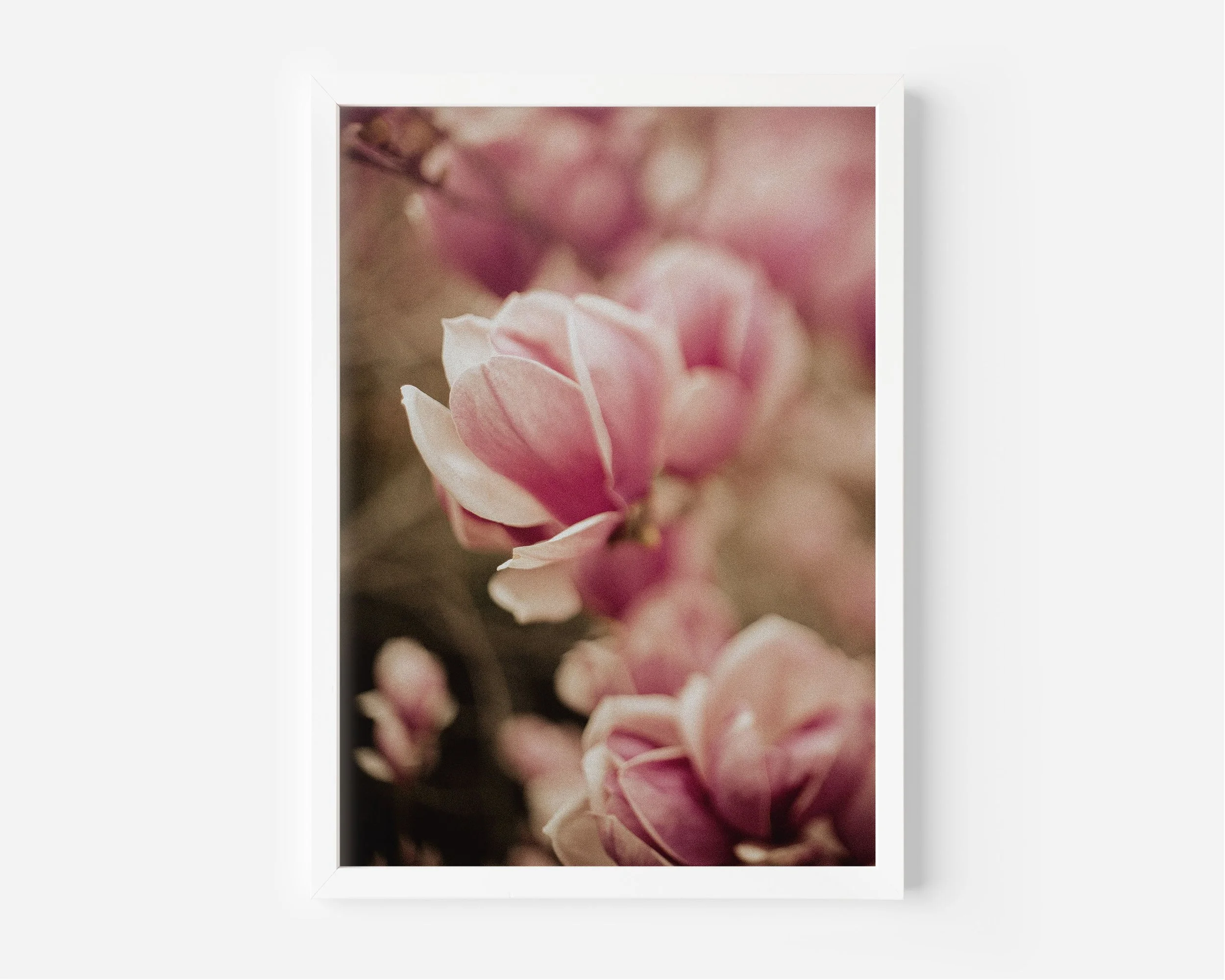 Clarity XL White Frame.jpg