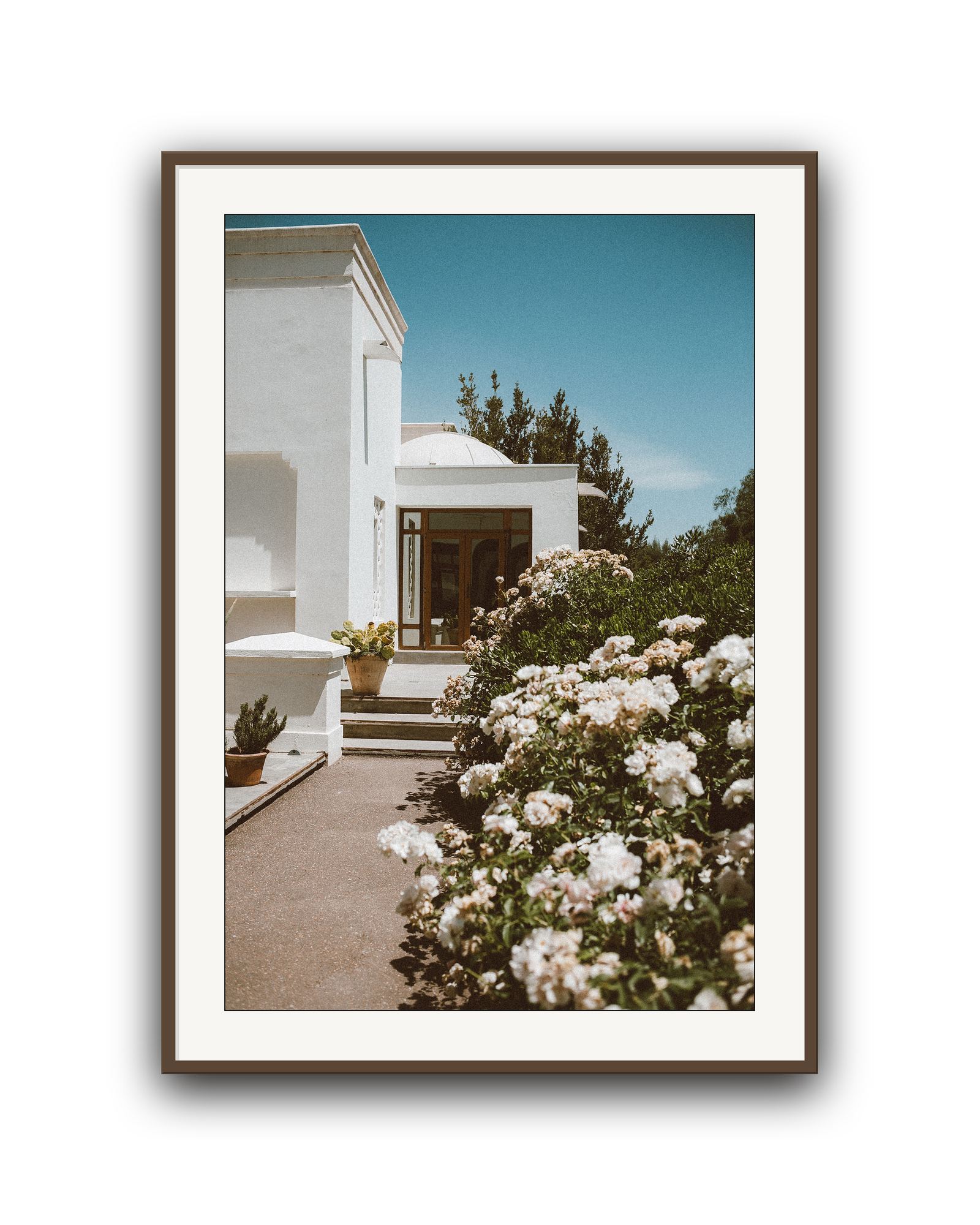 white-summer-walnut-matted.png