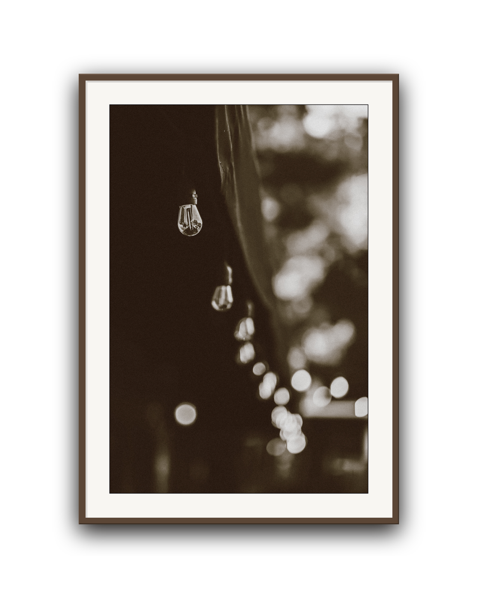 lights-walnut-matted.png