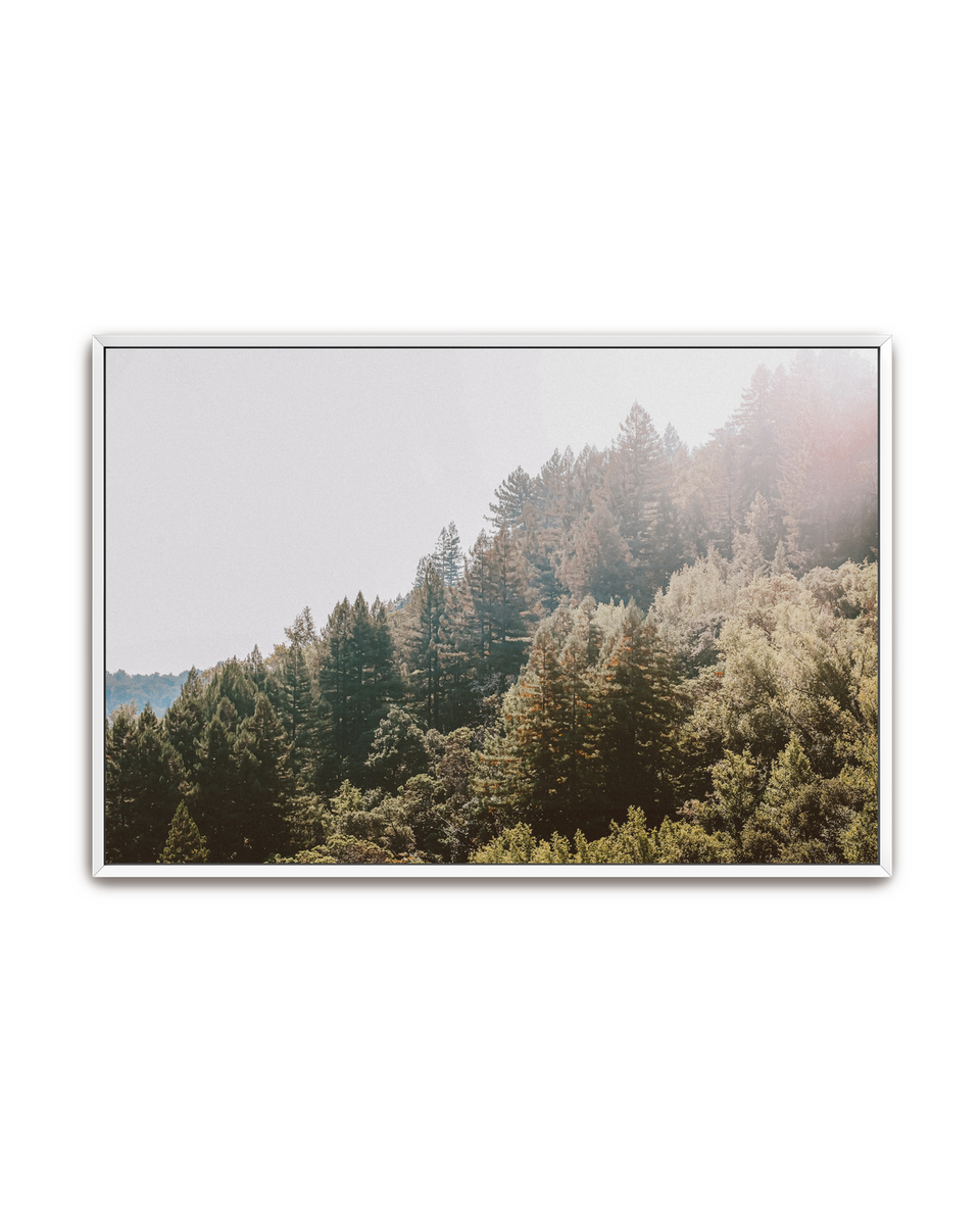 treeside-white-canvas.png