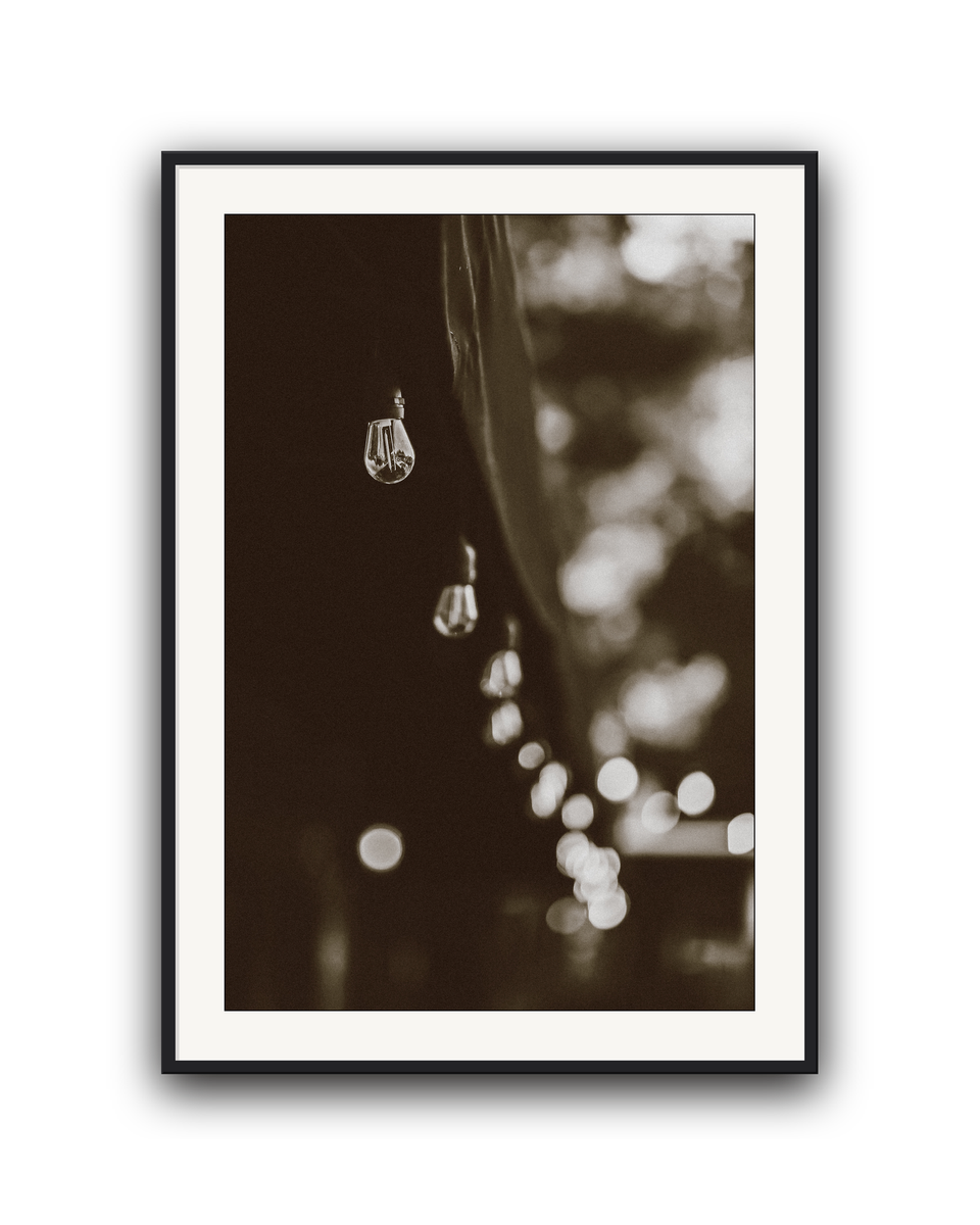 lights-black-matted.png