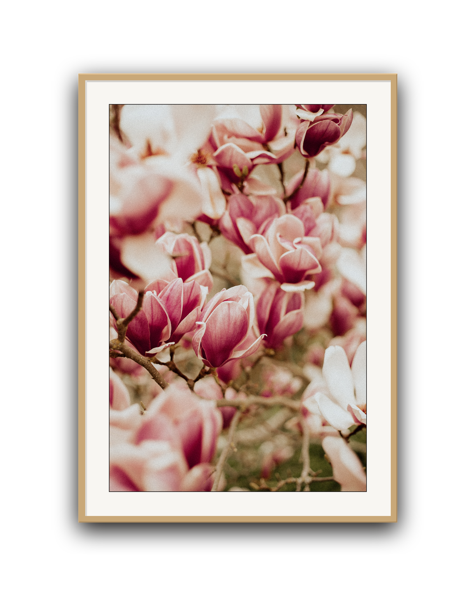 spring-chorus-oak-matted.png
