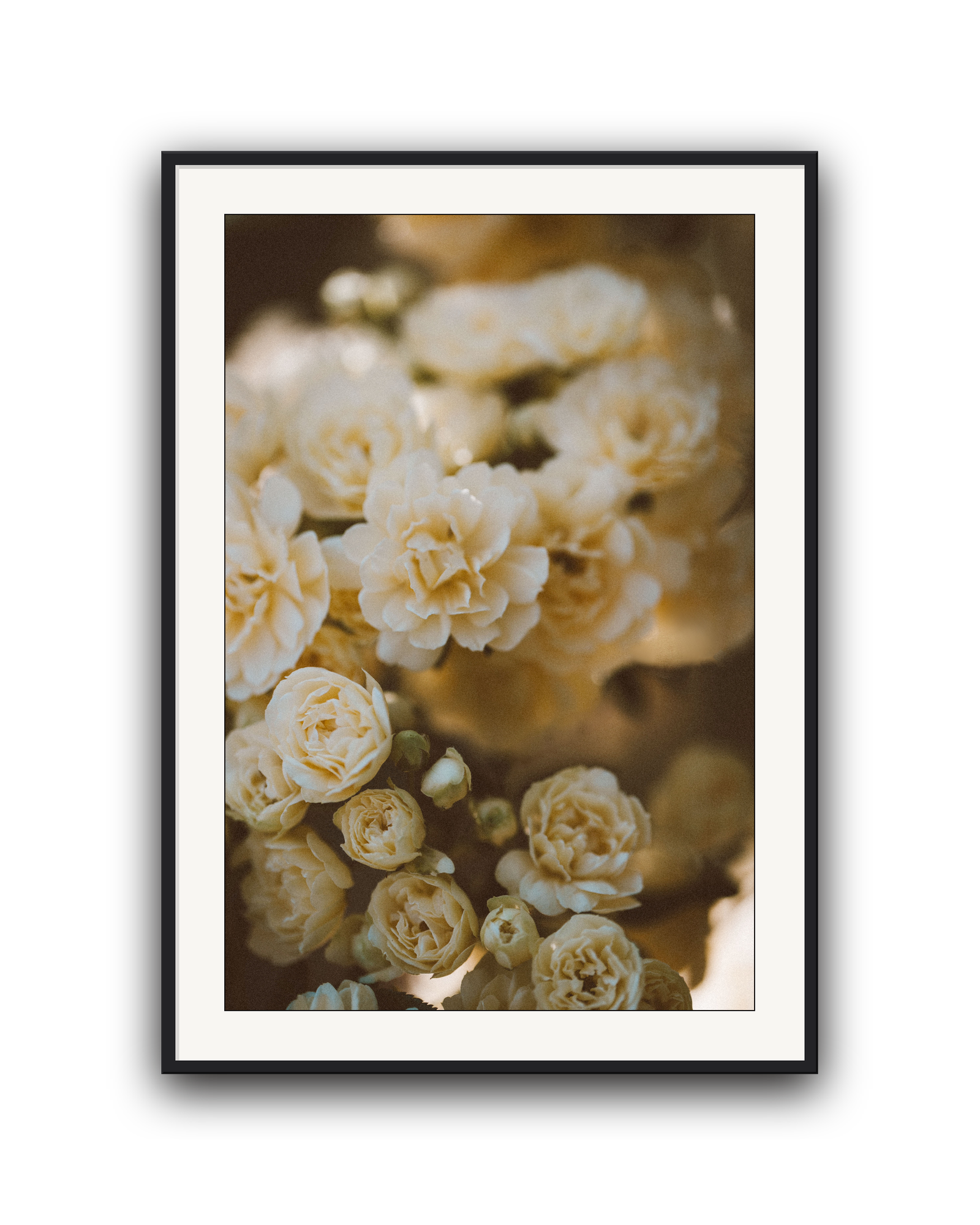 wild-bloom-black-matted.png