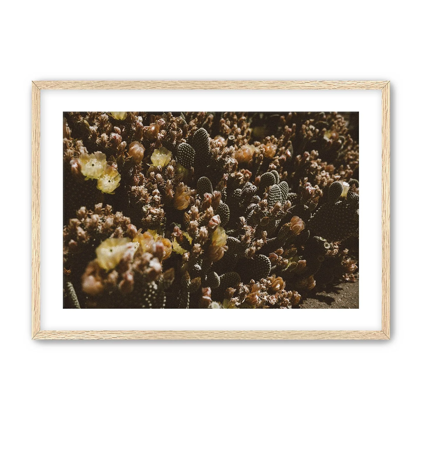 Oak Frame Cactus Art.jpg