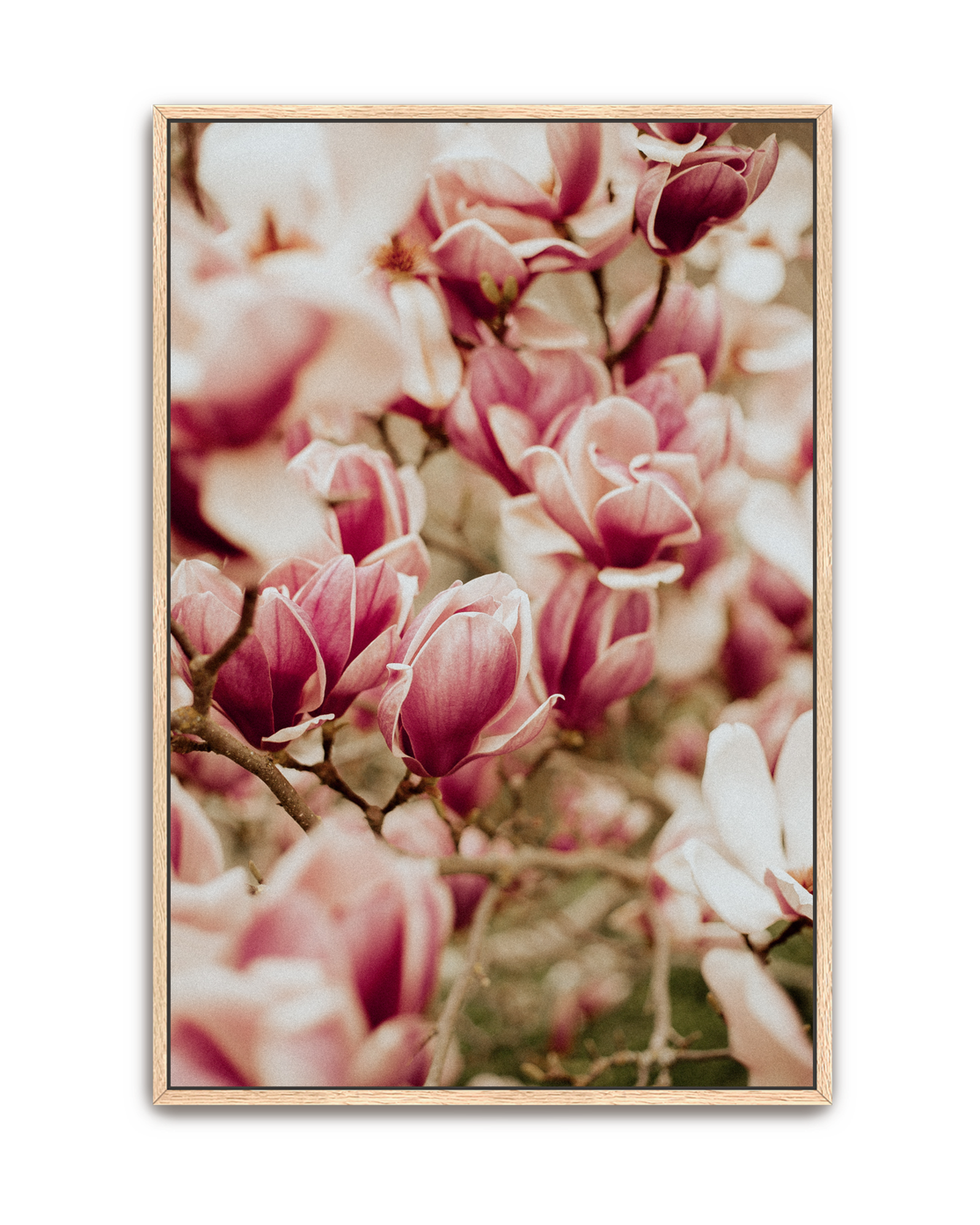 spring-chorus-oak-canvas.png