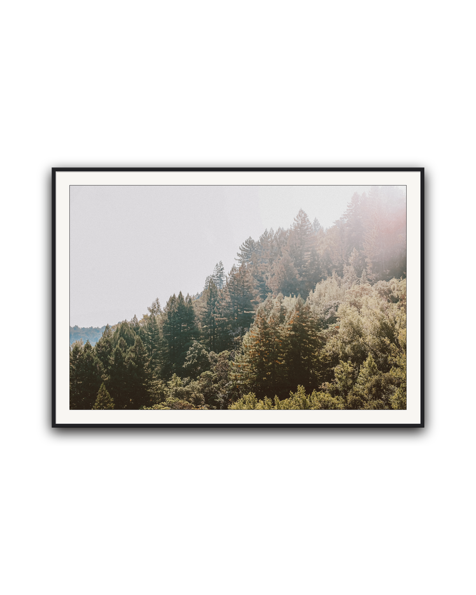 treeside-black-matted.png
