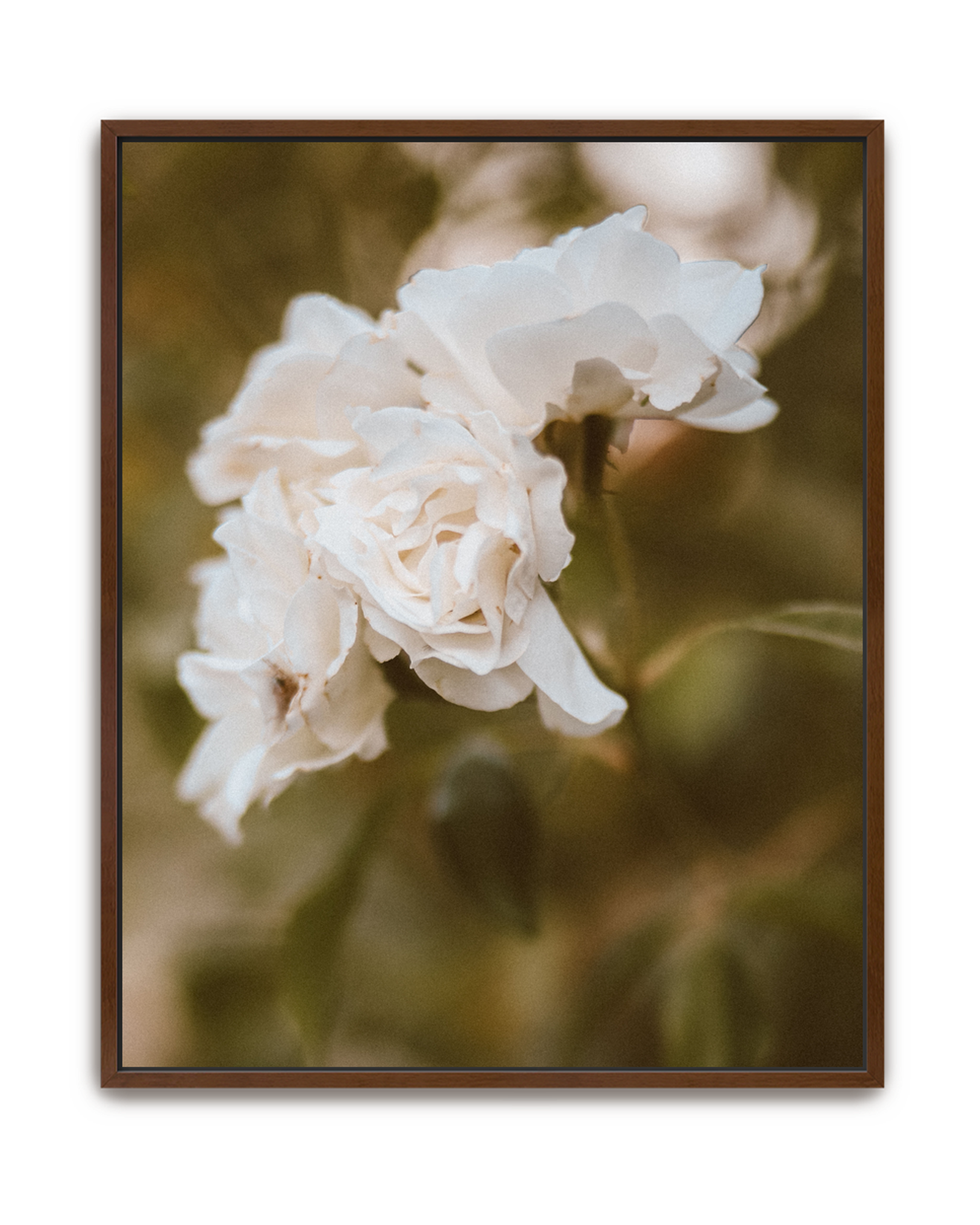 garden-whisper-walnut-canvas.png
