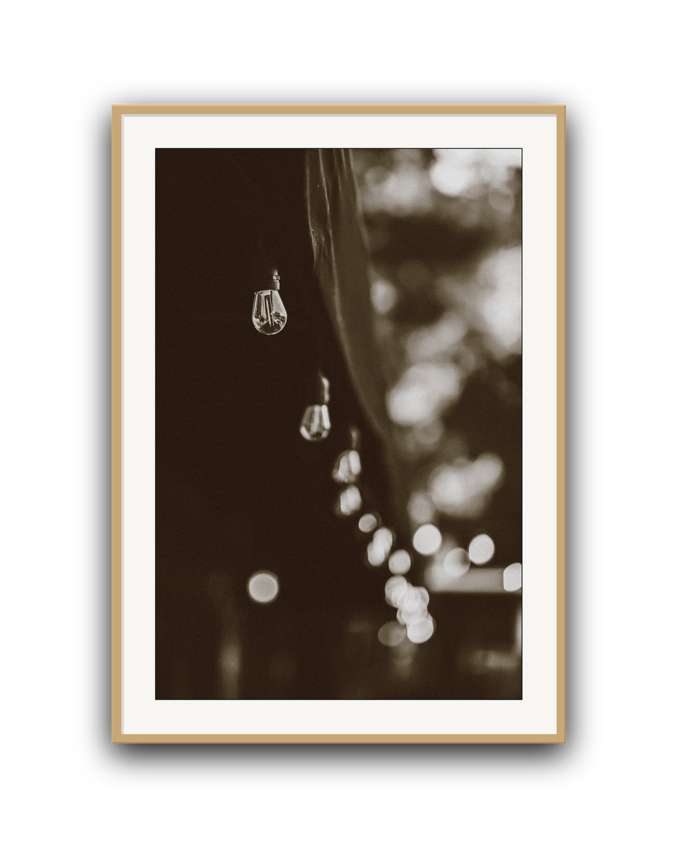 lights-oak-matted.png