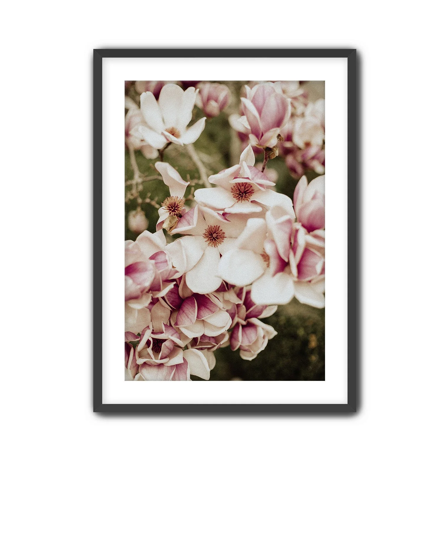 Black Frame Magnolia 7.jpg
