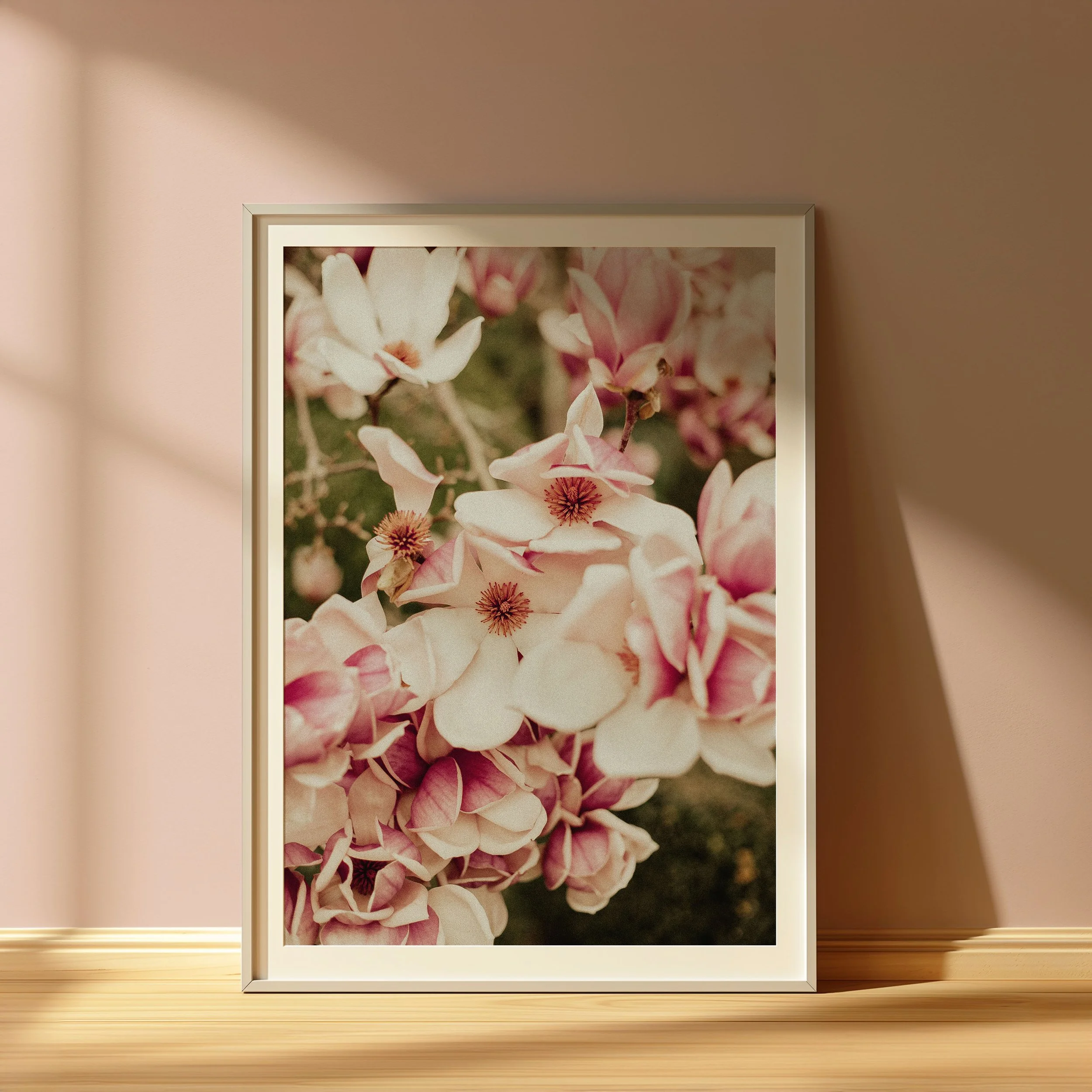 Framed photograph of pink and white magnolia flowers on a wall