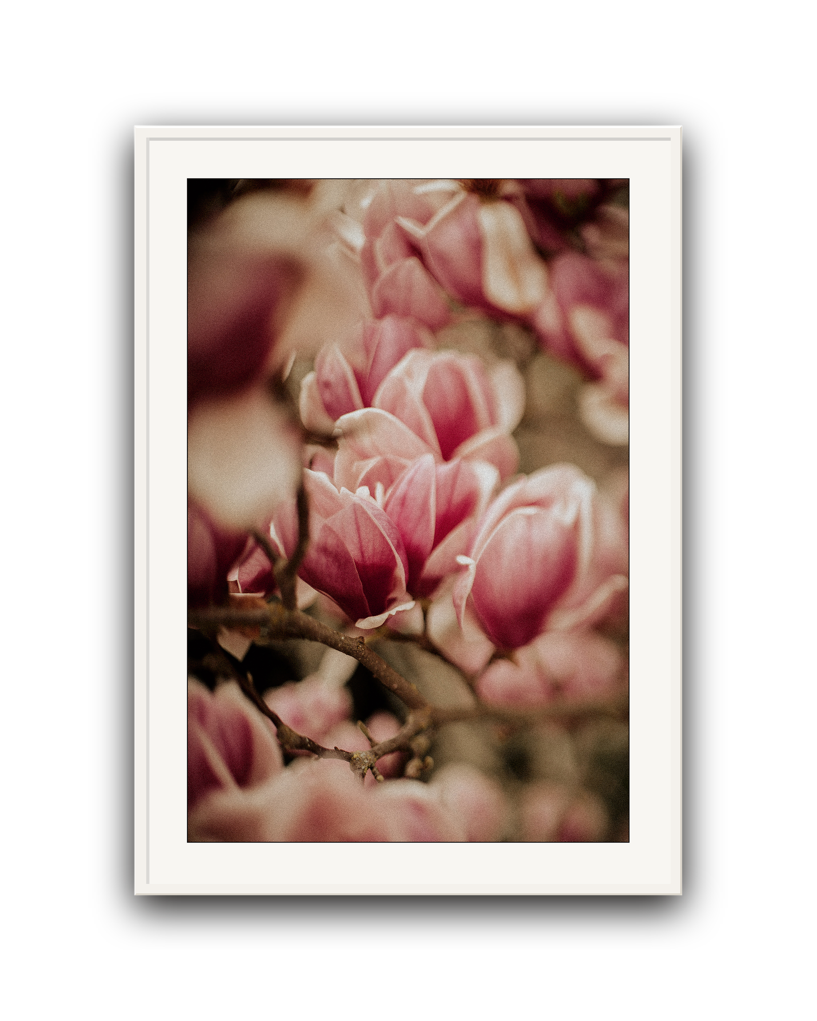 Spring Peeks In
