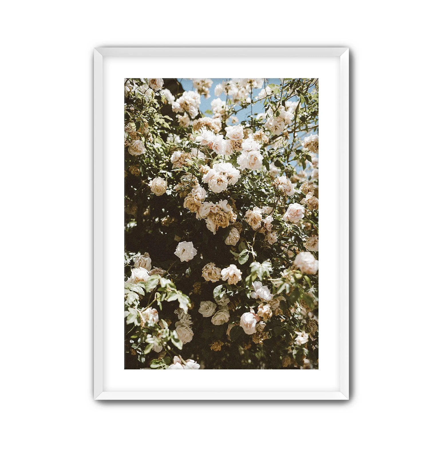 Floral Print White Frame.jpg