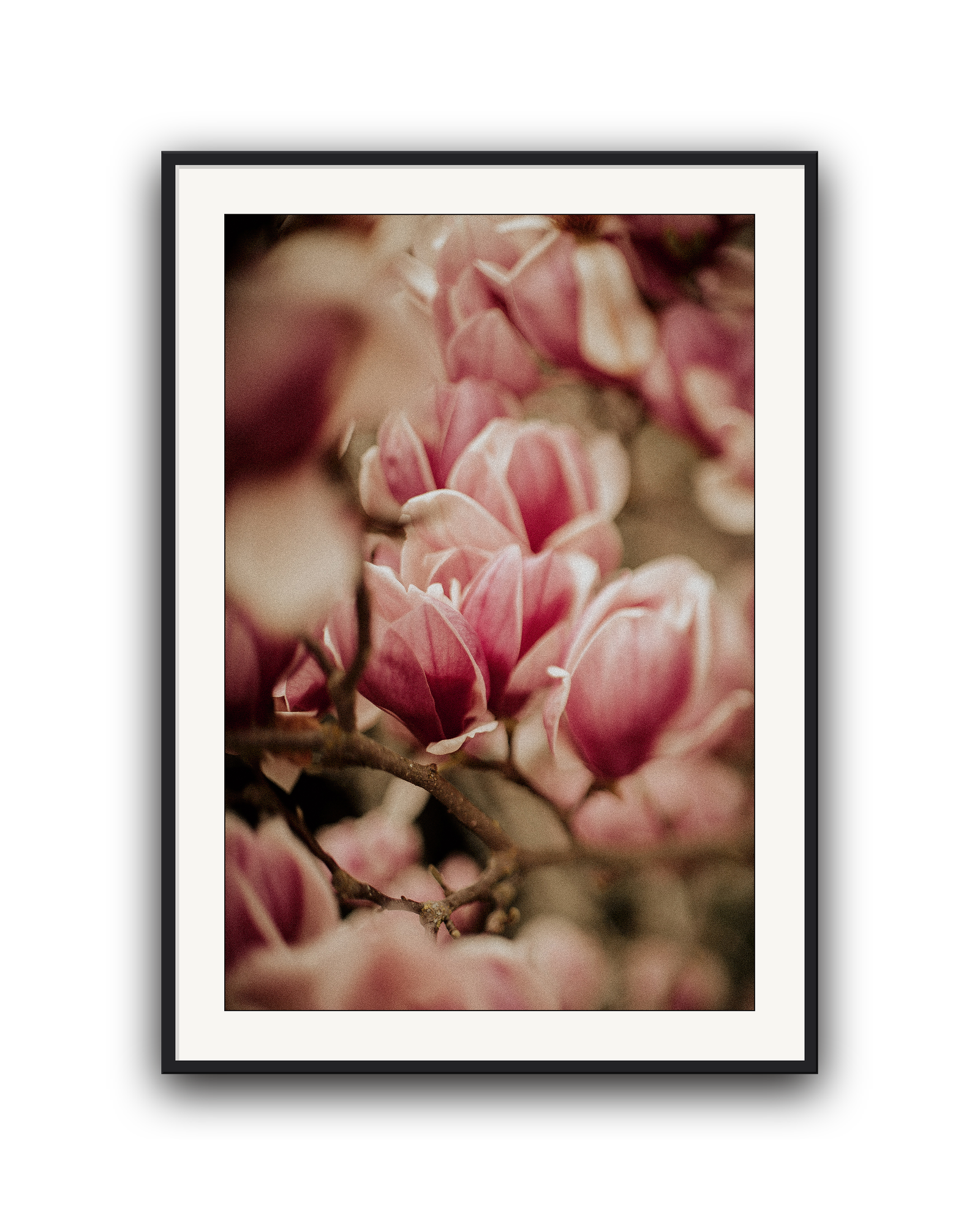 spring-peeks-in-black-matted.png