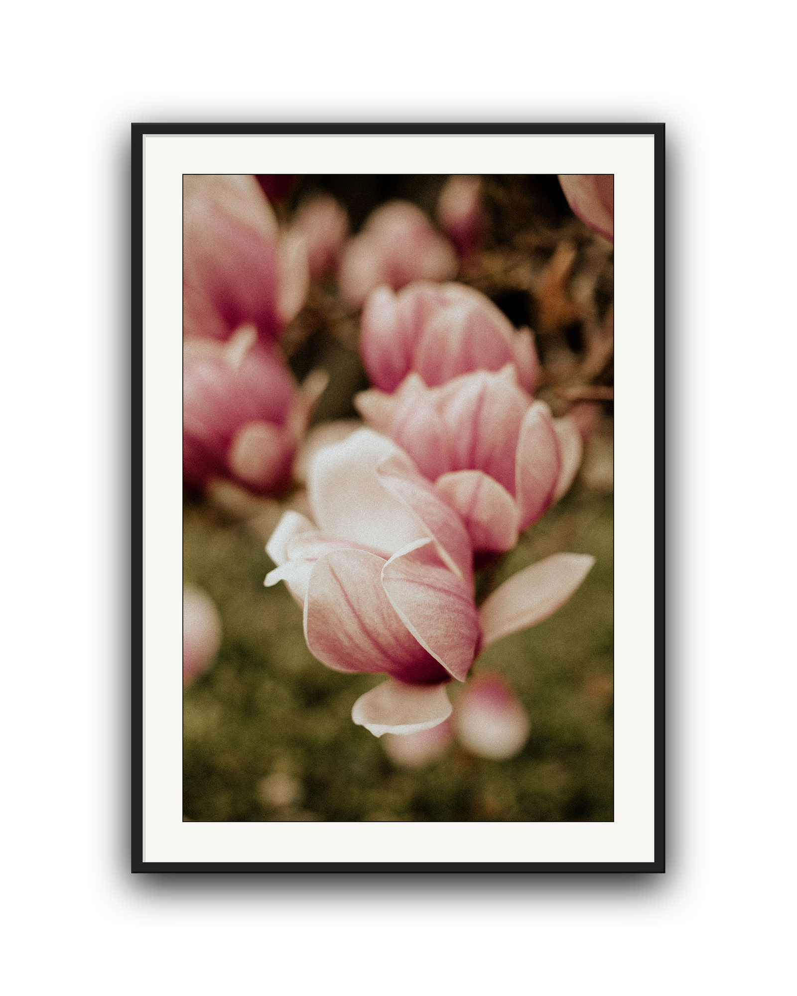 in-bloom-black-matted.png