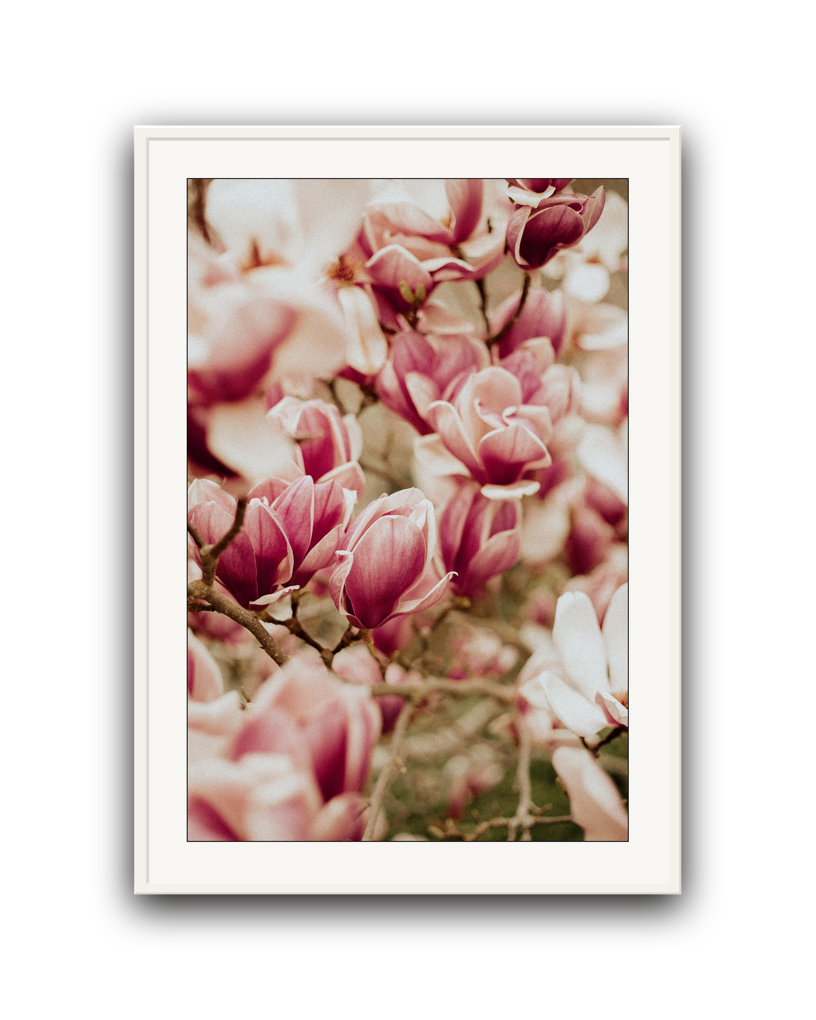 Spring Chorus