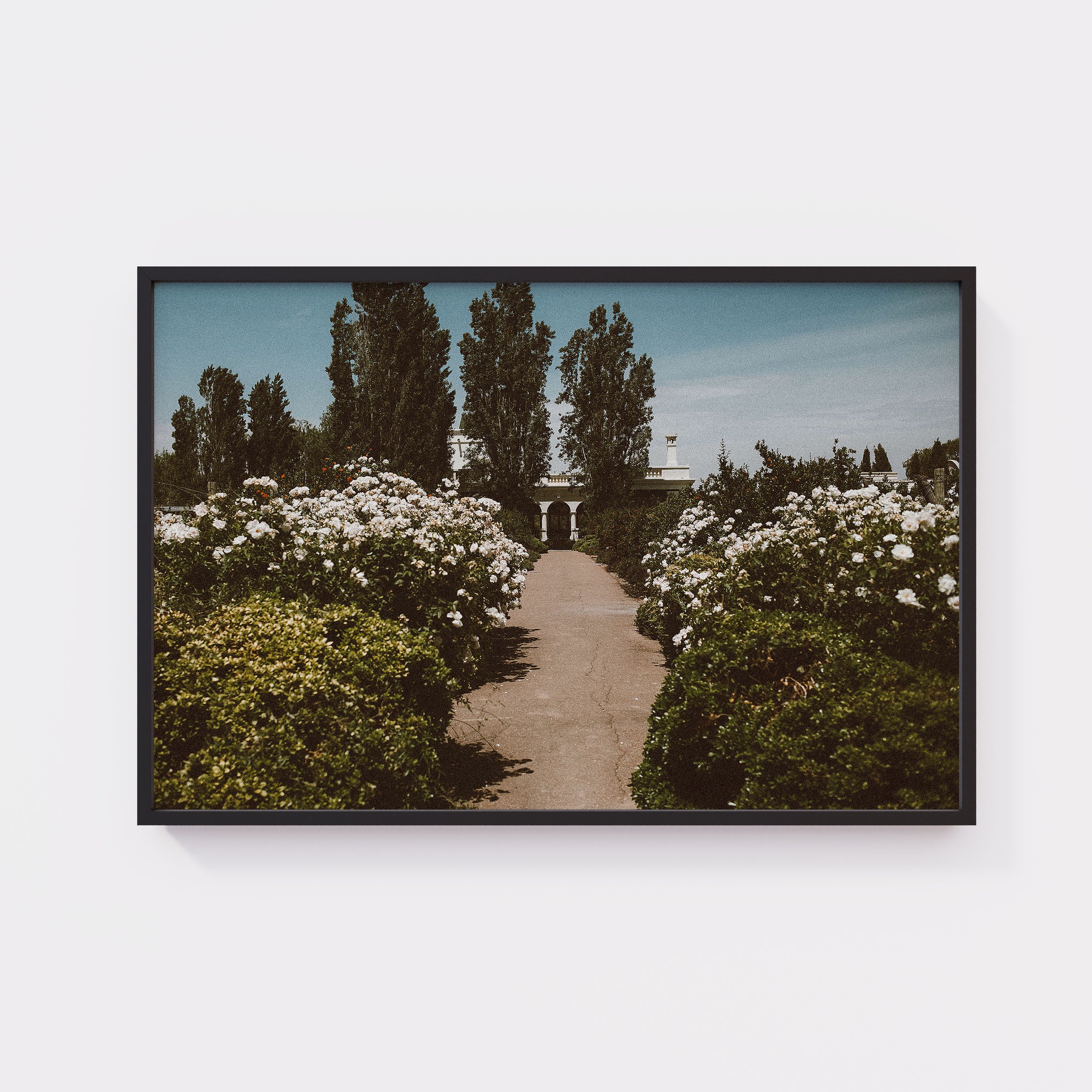 Black XL Frame Floral Pathway.jpg