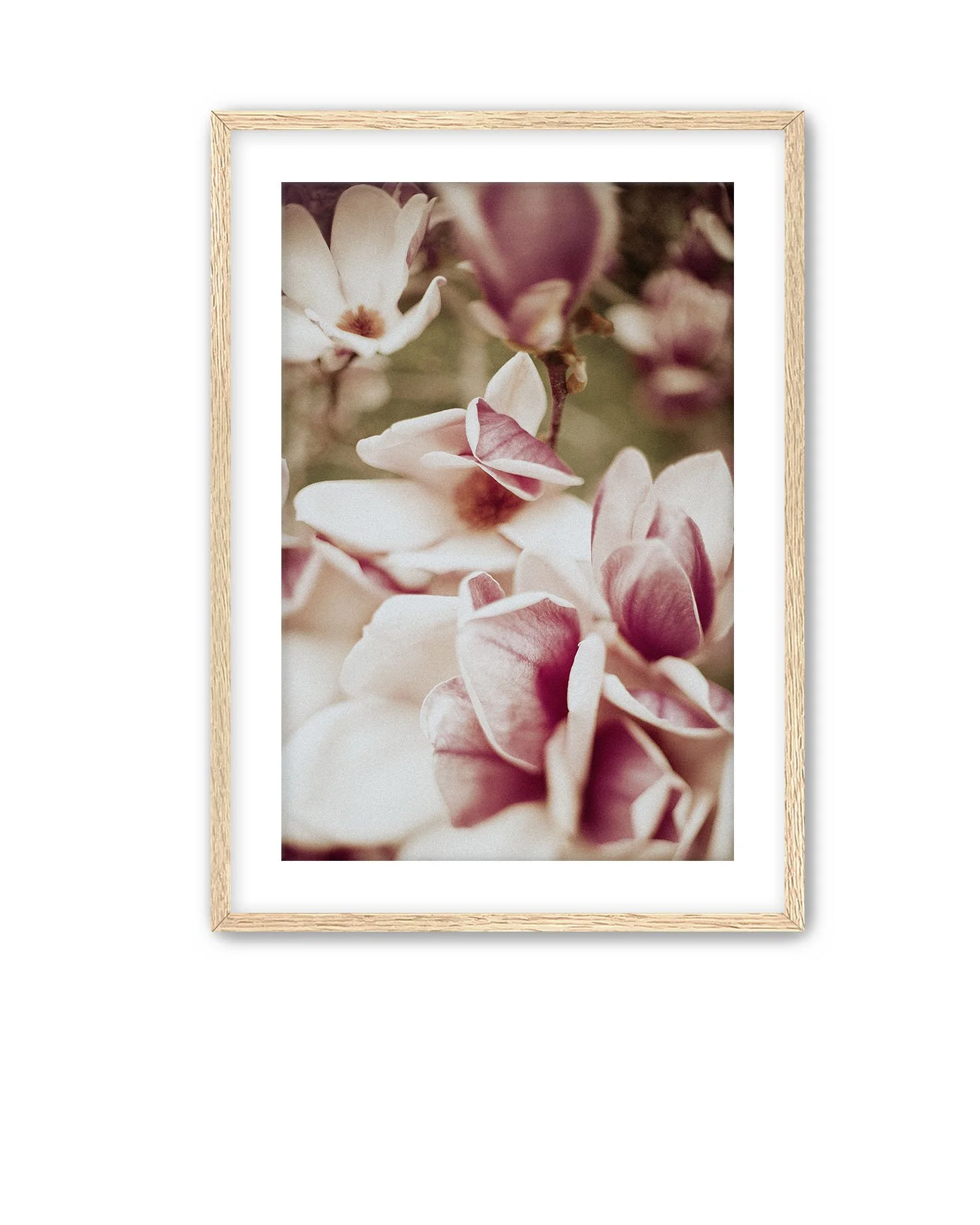Oak Frame Magnolia 12.jpg