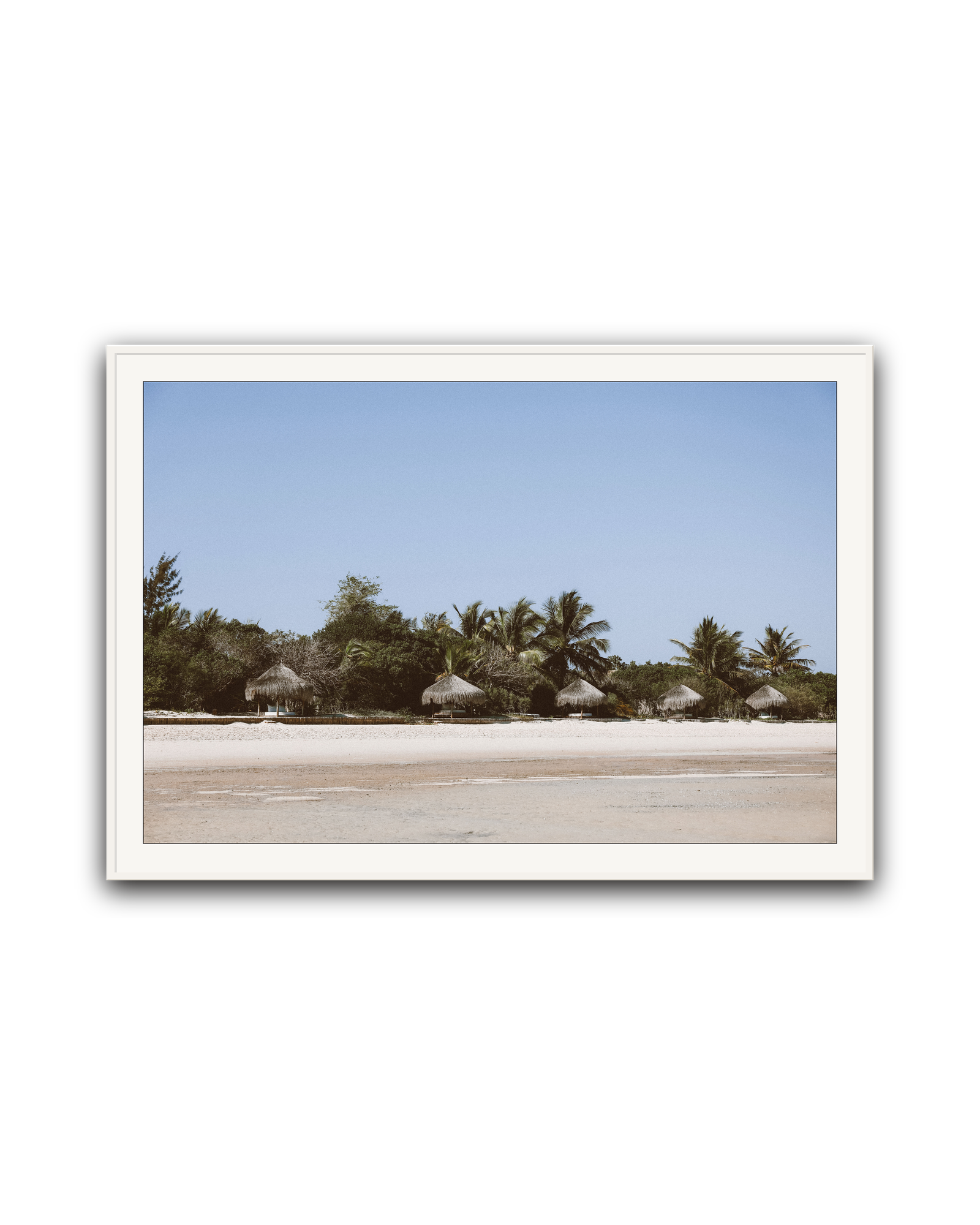 Palm Coast