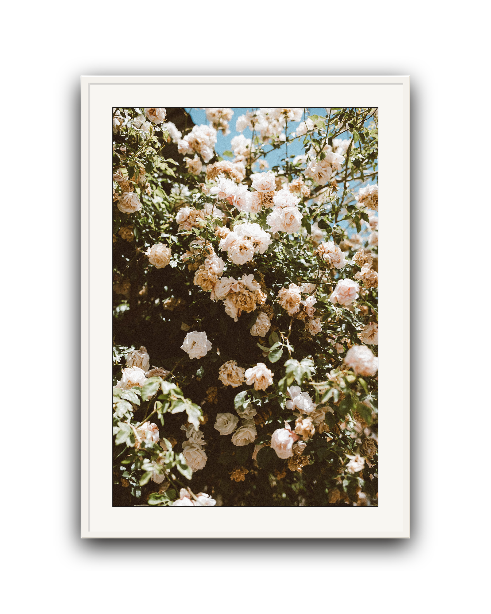 Endless Garden