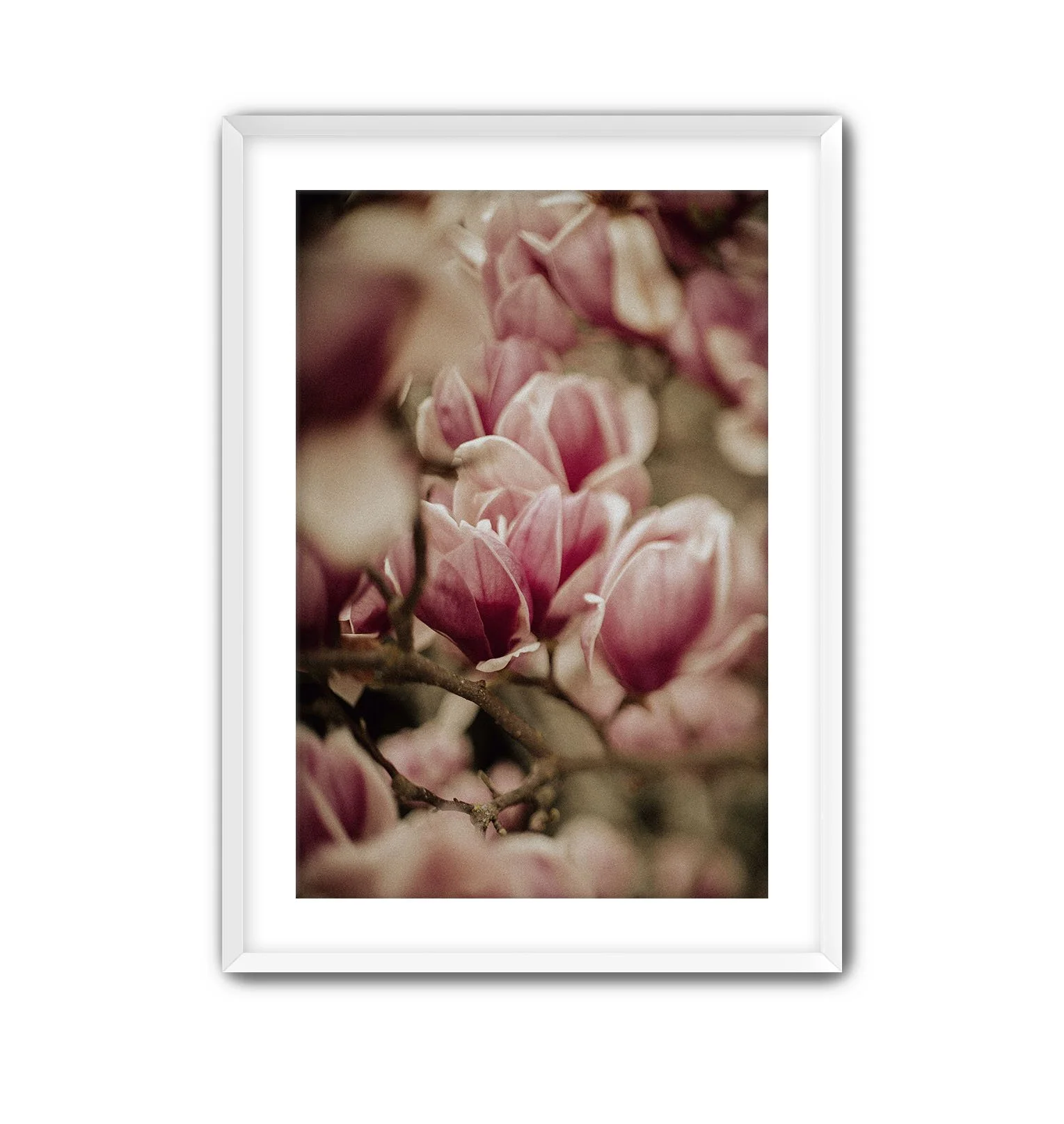 Spring Peeks White Frame.jpg