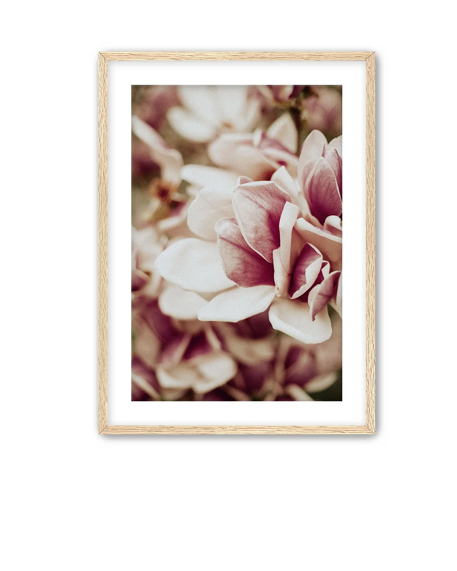 Oak Frame Magnolia 10.jpg