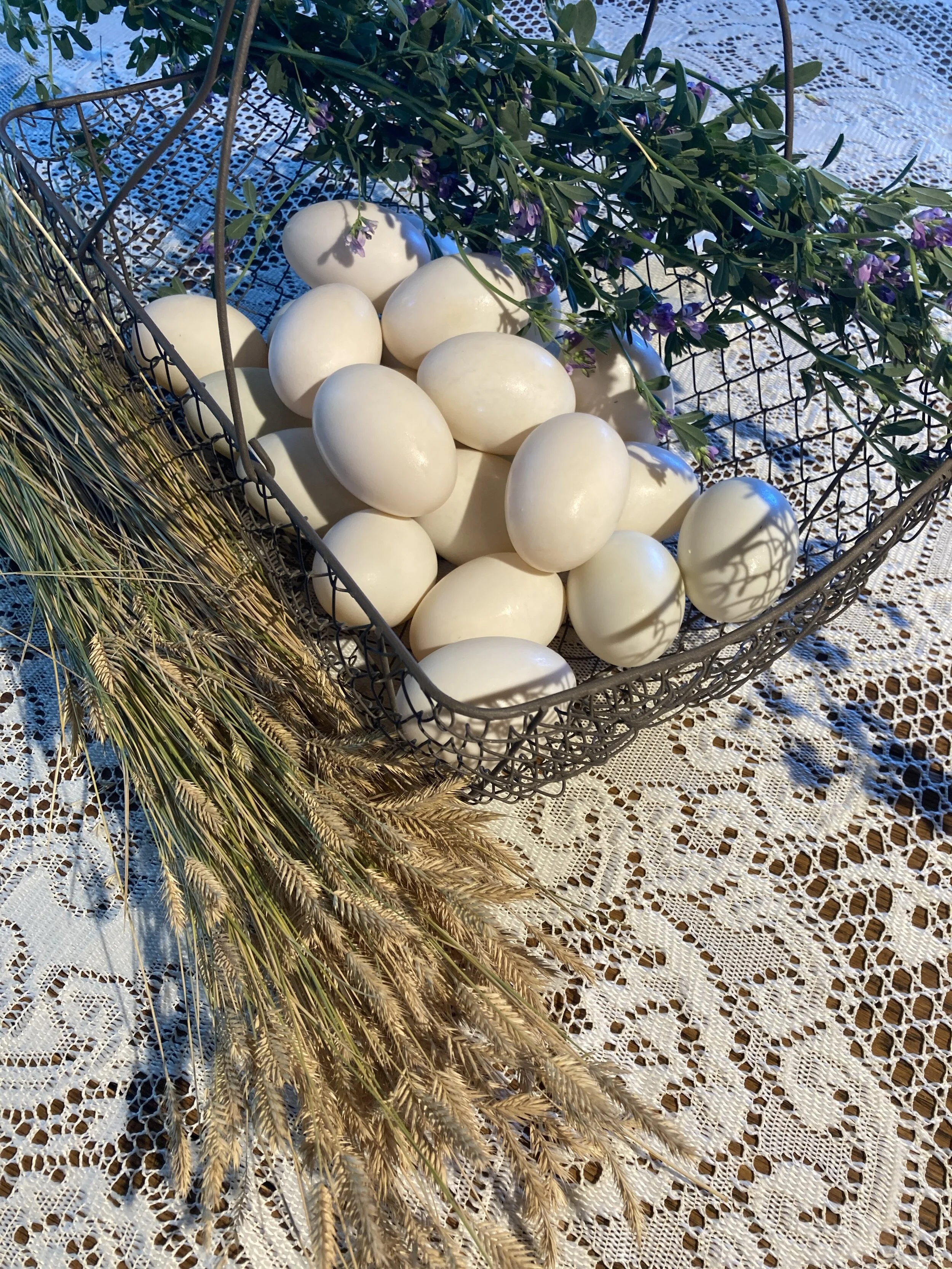 How to Clean Farm Eggs