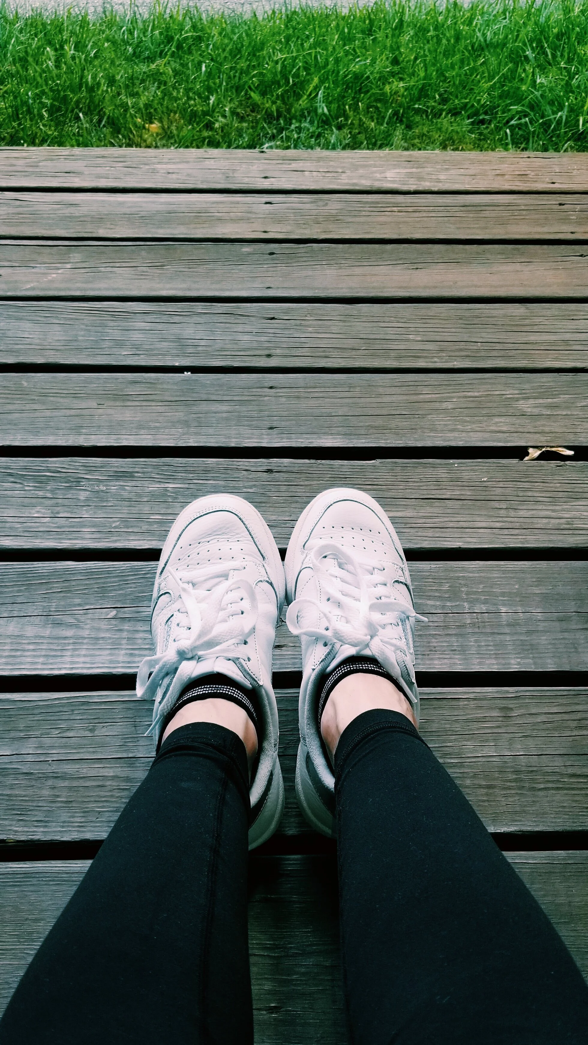 Searching for Peace and Finding My Way Home