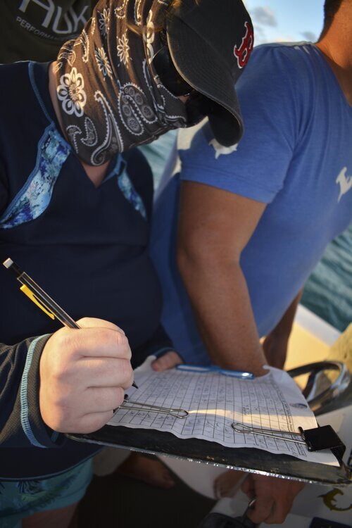 Annie Guttridge - Dr Tristan Guttridge - Saving the Blue - Silent Hunter Group - Sharks - Shark - Hammerhead - The Bahamas - Andros - Shark Diving - Underwater Photography - Photographer - Eco Tourism -Hammerhead - Shark Research - Science - Shark Ta