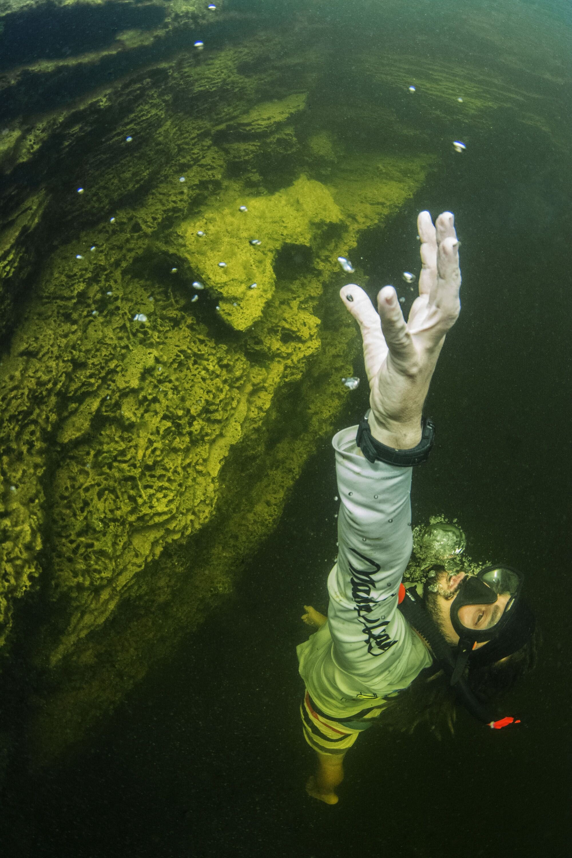Diver - Fun.jpeg