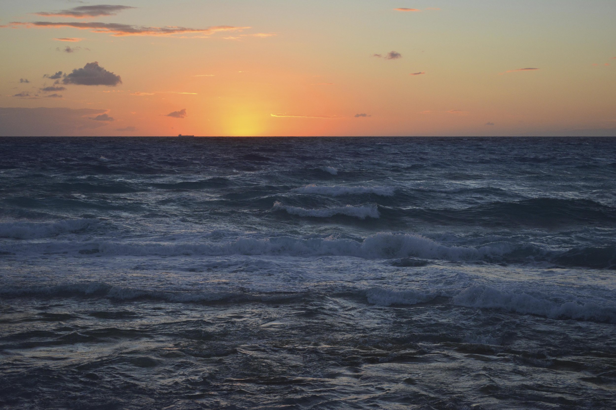VitaminSEA-2.jpg