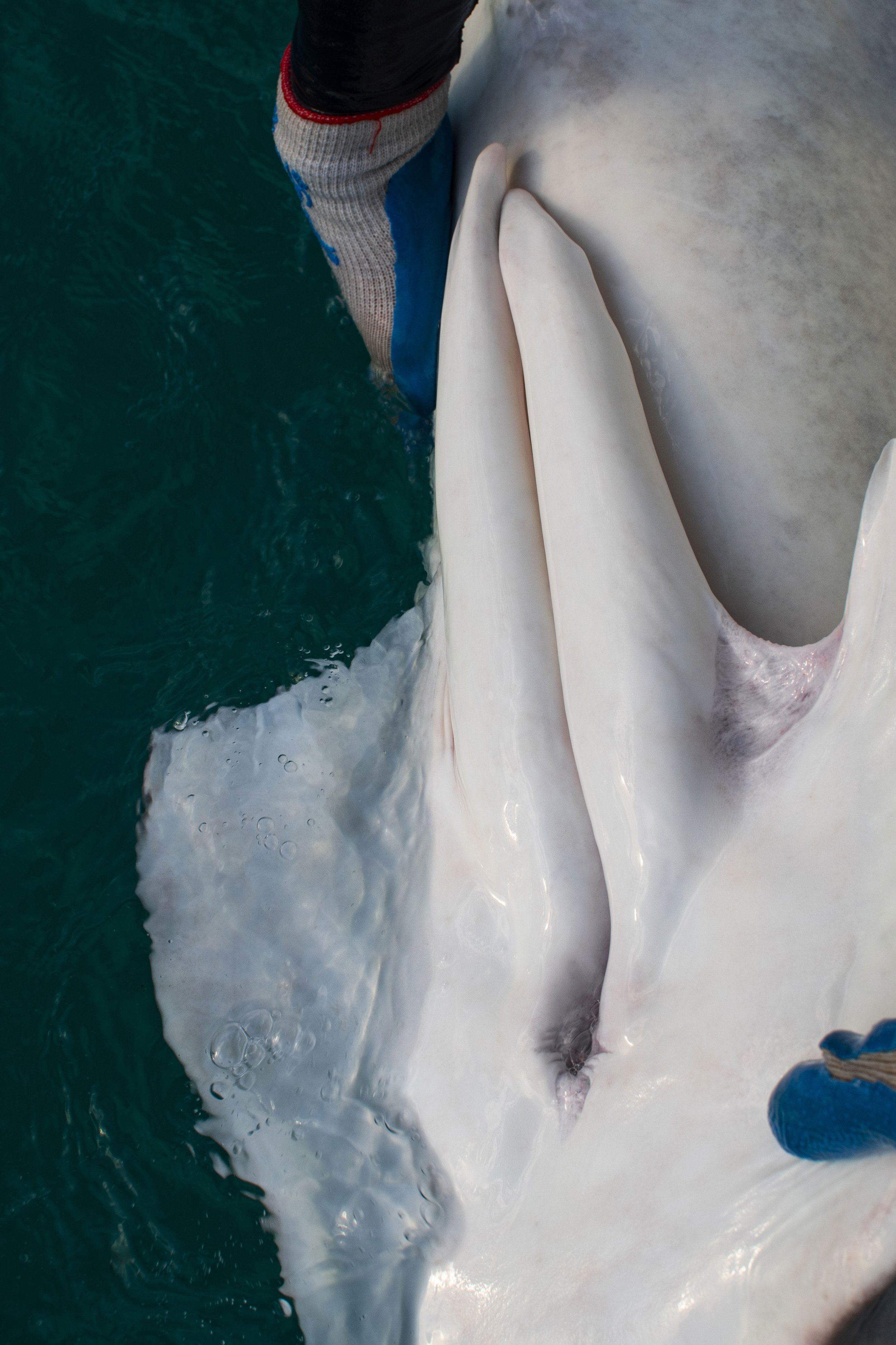 DSC_6344.jpg