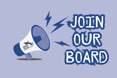 Call for Board Members