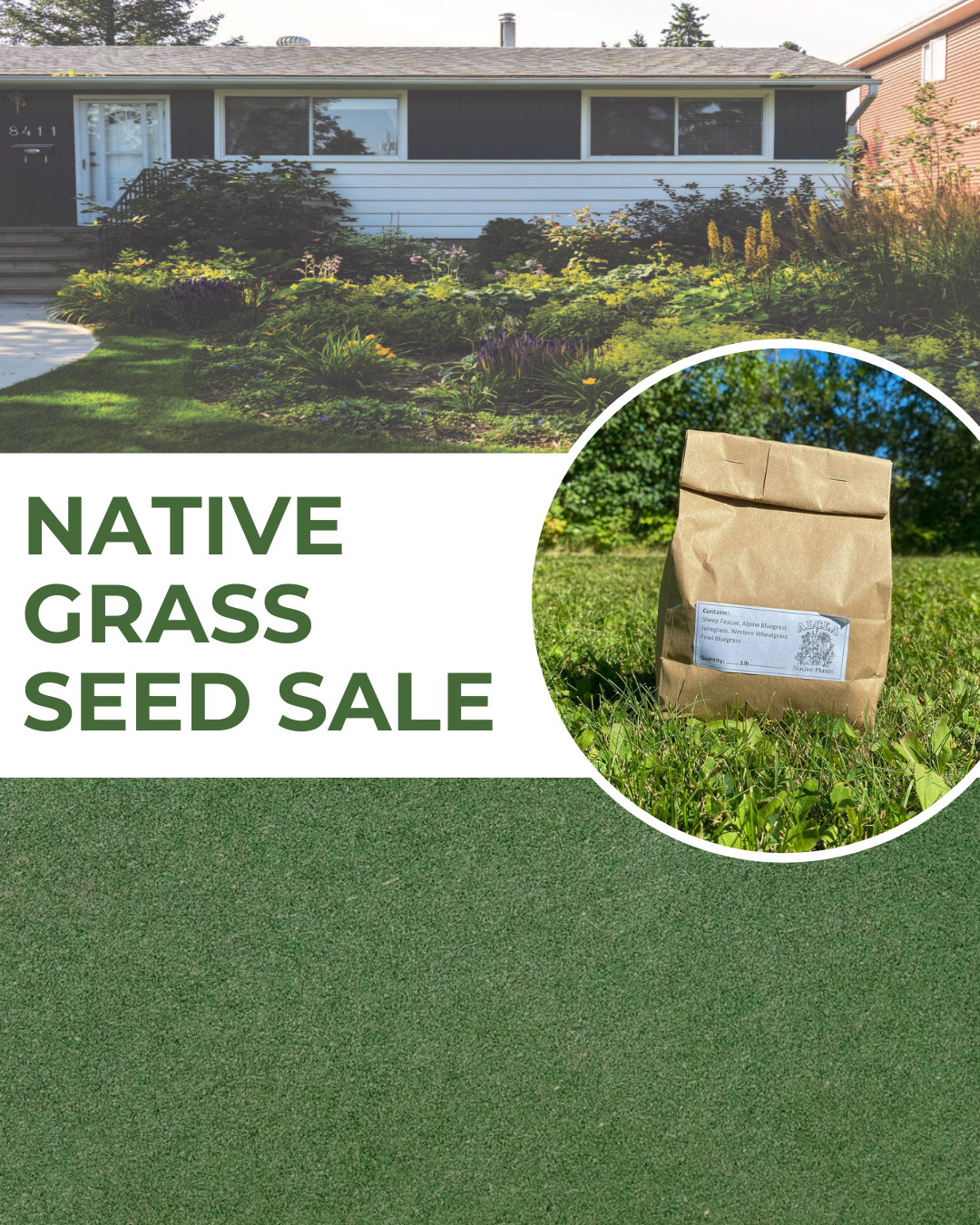 Native Grass Seed Sale 2026