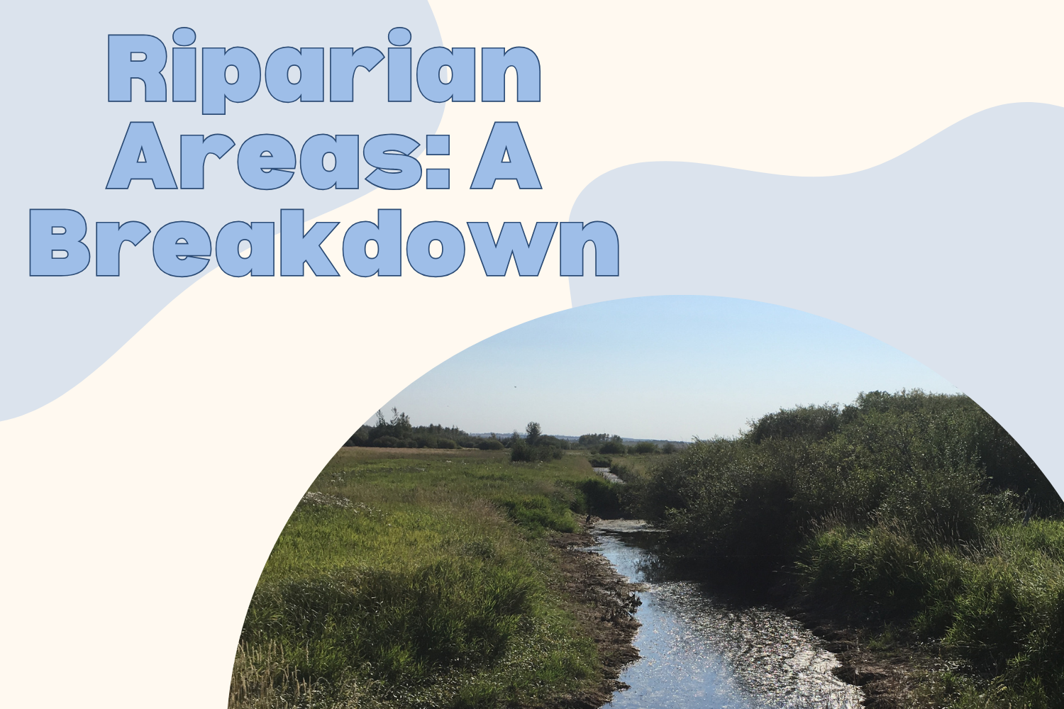 Riparian Areas: A Breakdown