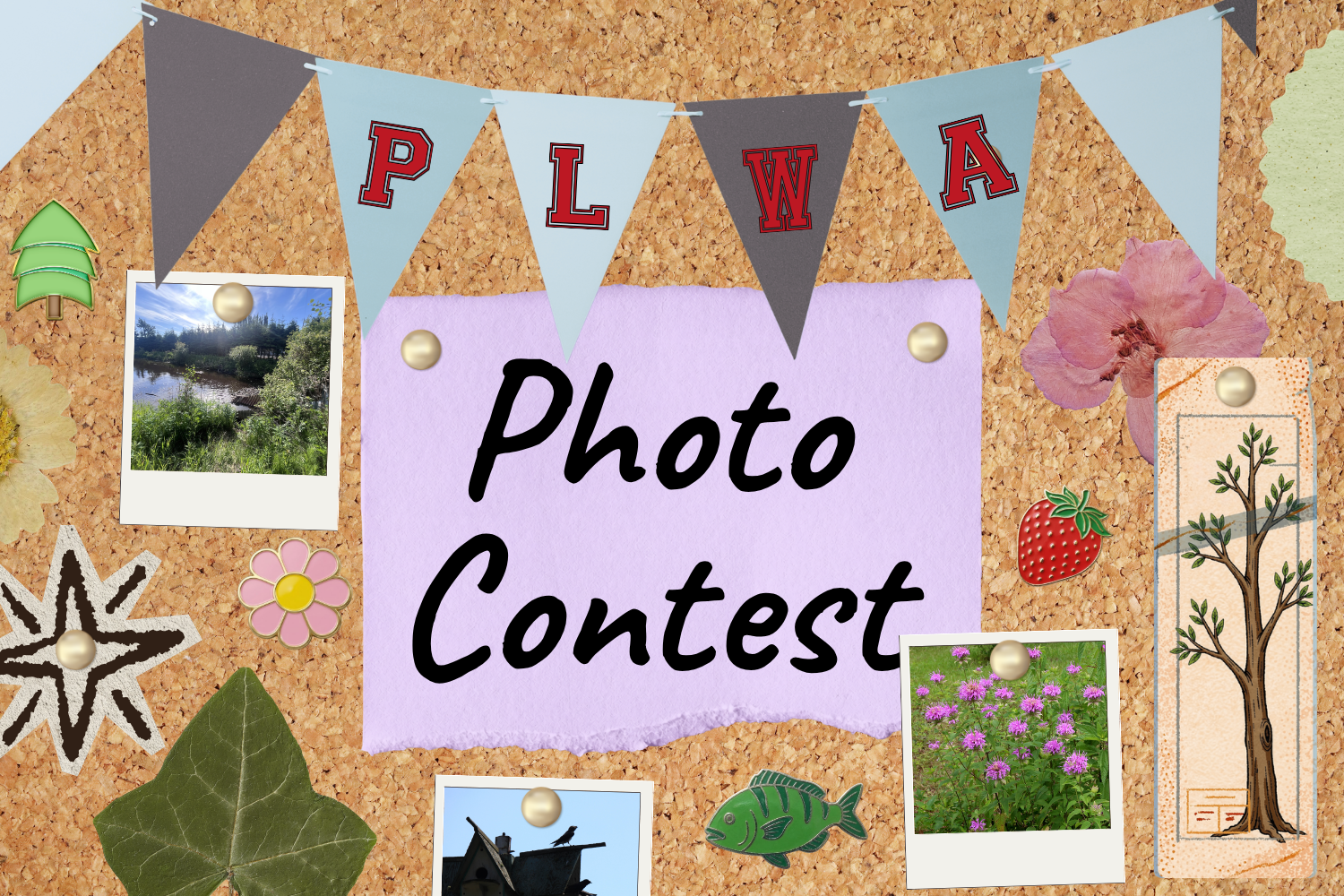 Lake Appreciation Photography Contest