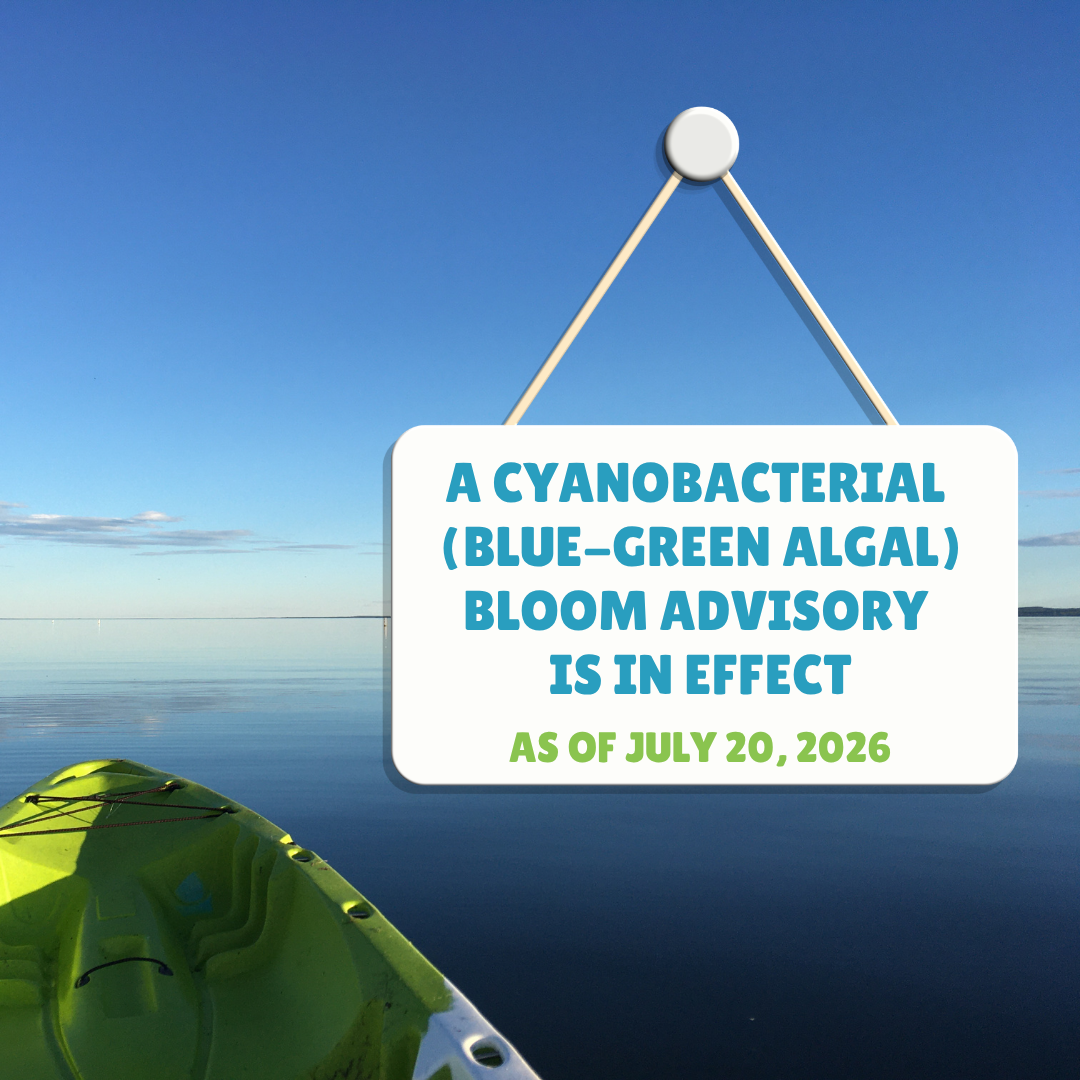 Cyanobacterial (Blue-Green Algal) Bloom Advisory