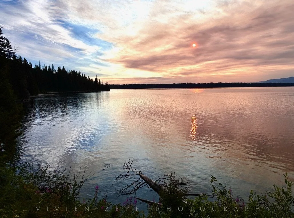 “My work is loving the world”