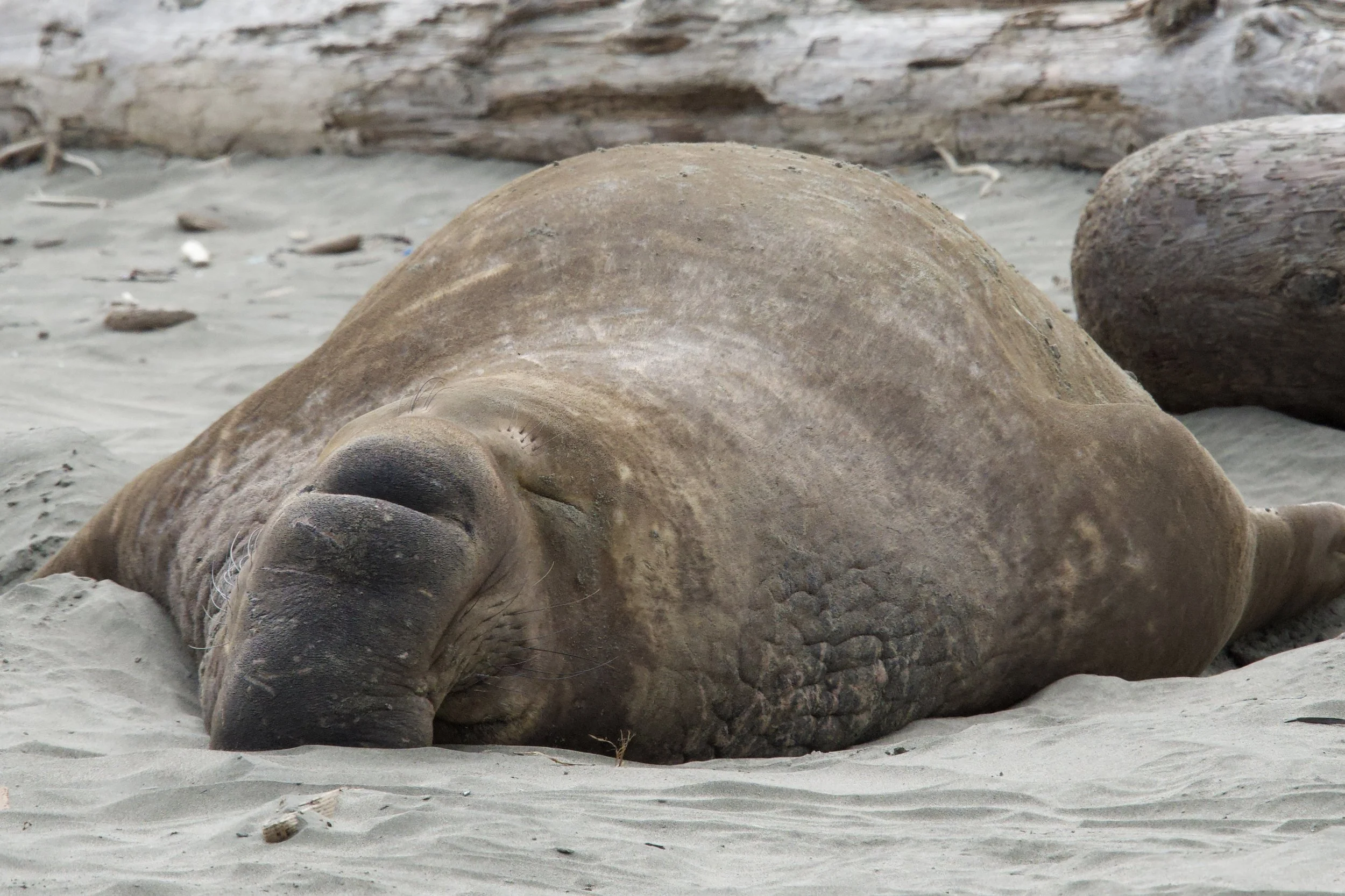 Raise Your Hand, Kind of