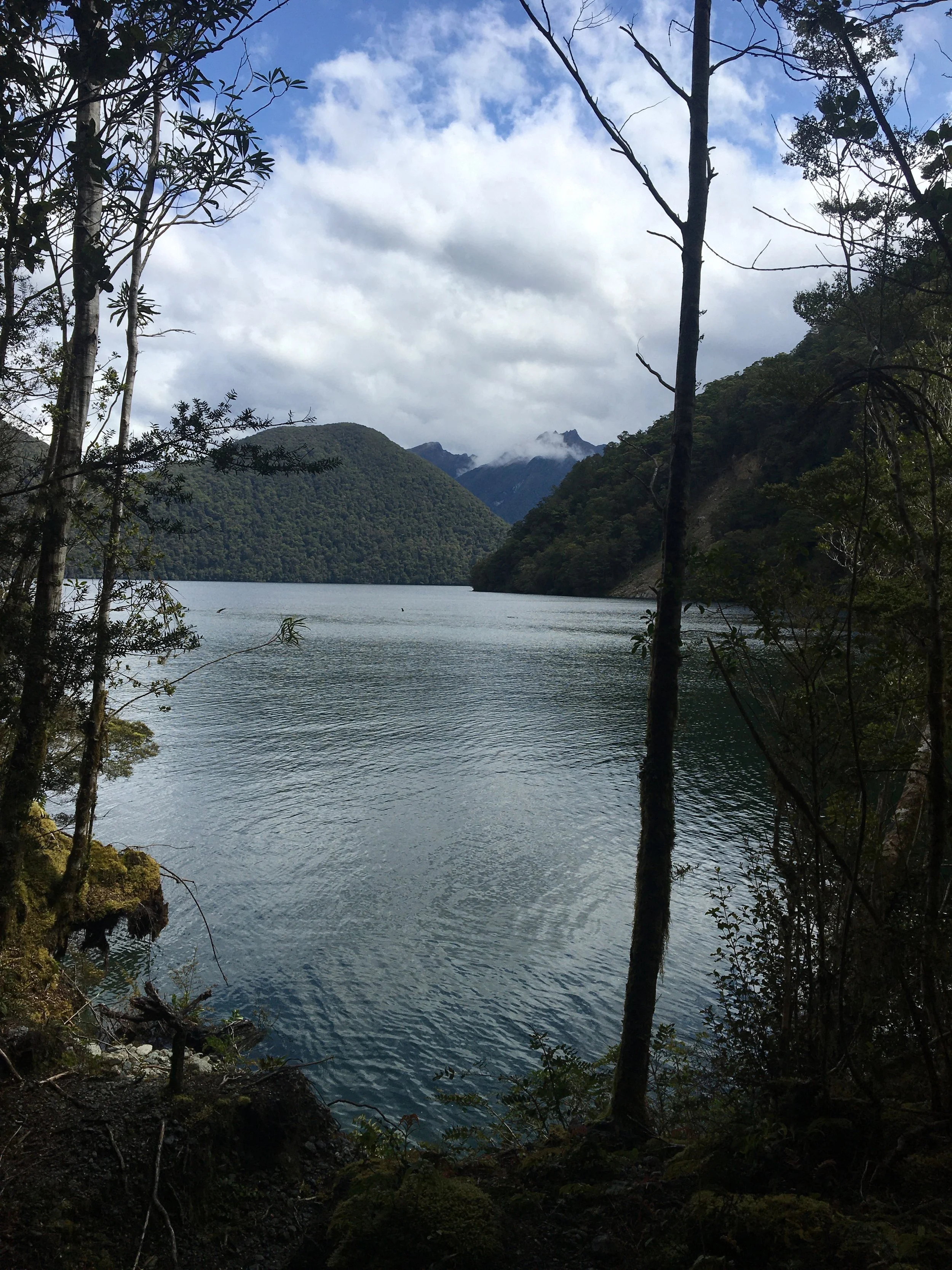 IMG_6659.jpg