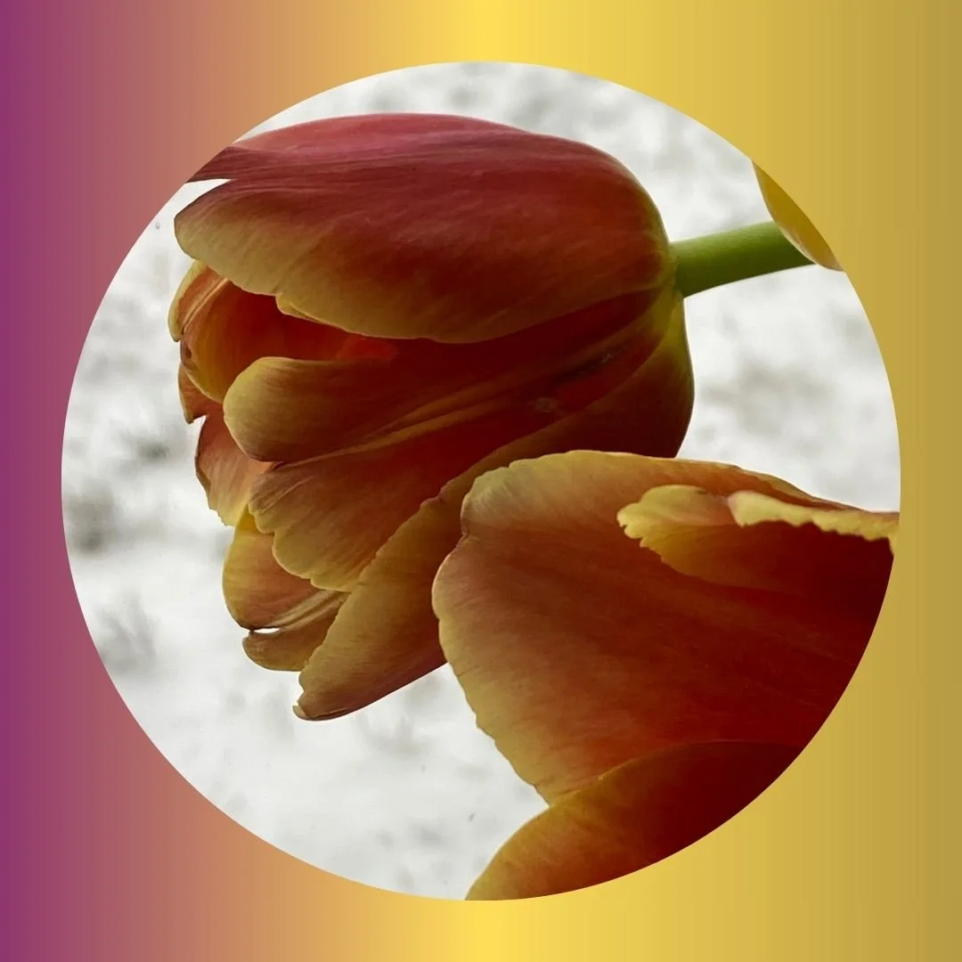 MOM-PAGE12 florals 2024.jpg