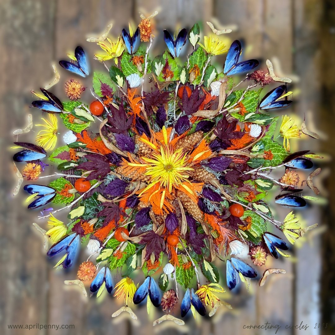 AP Eco-Art. Connecting Circles of Care.