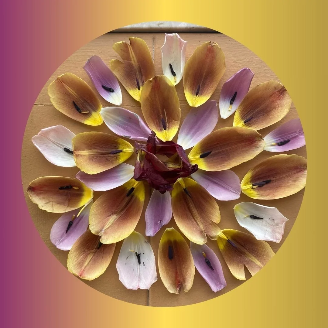 MOM-PAGE3 florals 2024.jpg