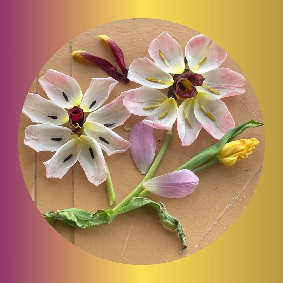 MOM-PAGE4 florals 2024.jpg