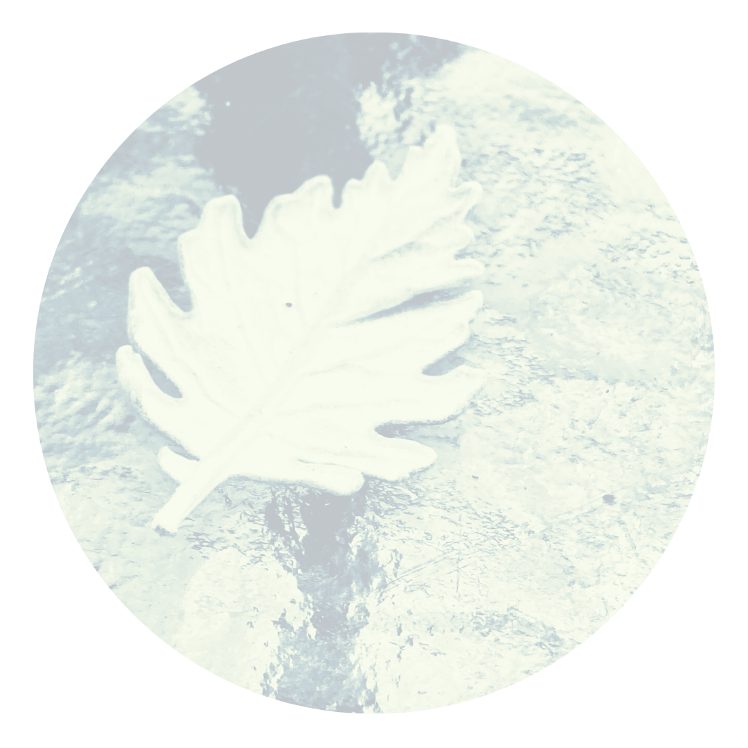 CIRCLES materials3a silvertone.png