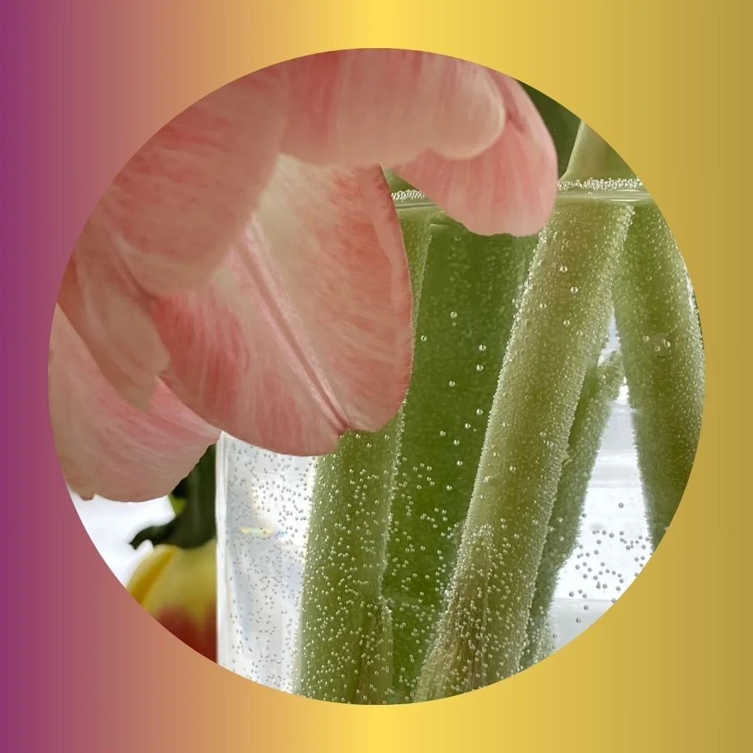 MOM-PAGE16 florals 2024.jpg