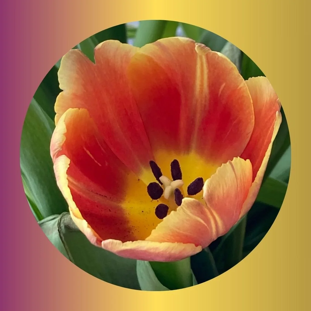 MOM-PAGE10 florals 2024.jpg