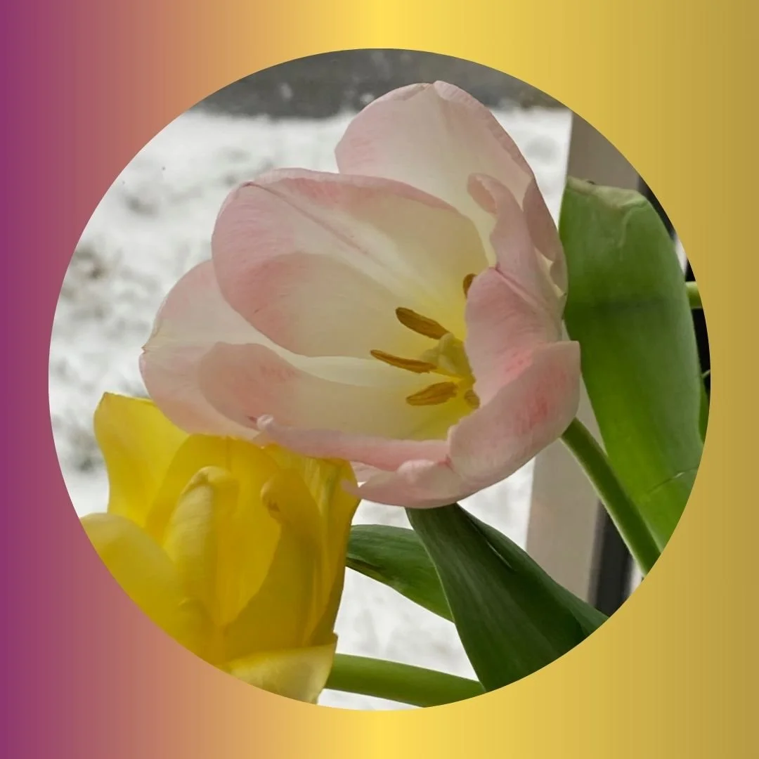 MOM-PAGE11 florals 2024.jpg